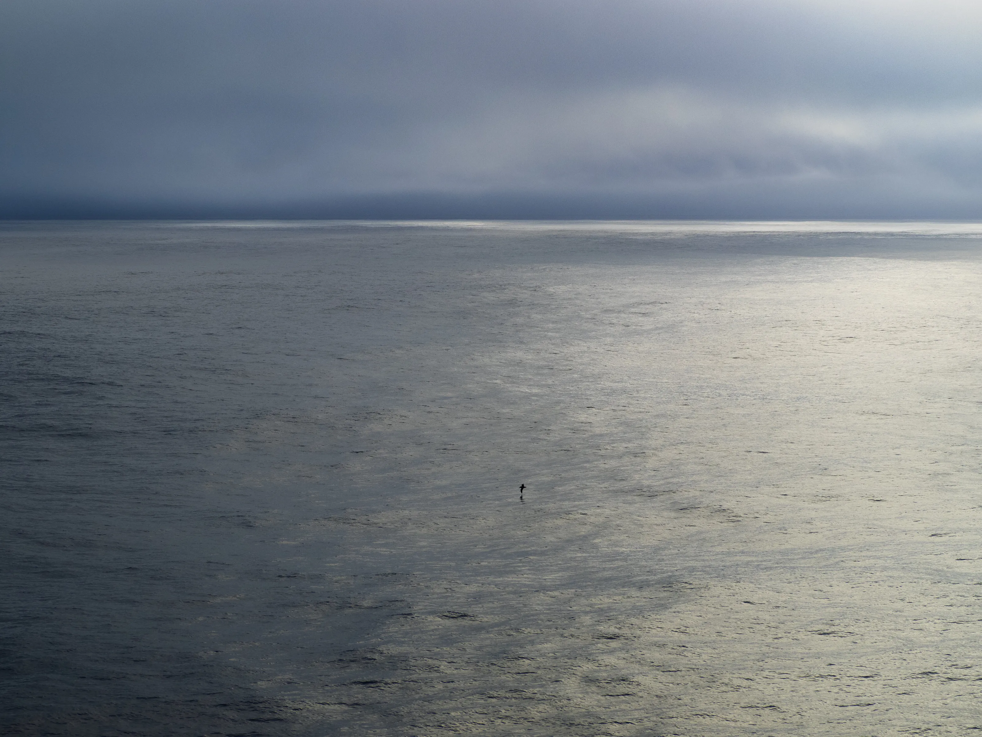 Lone flier