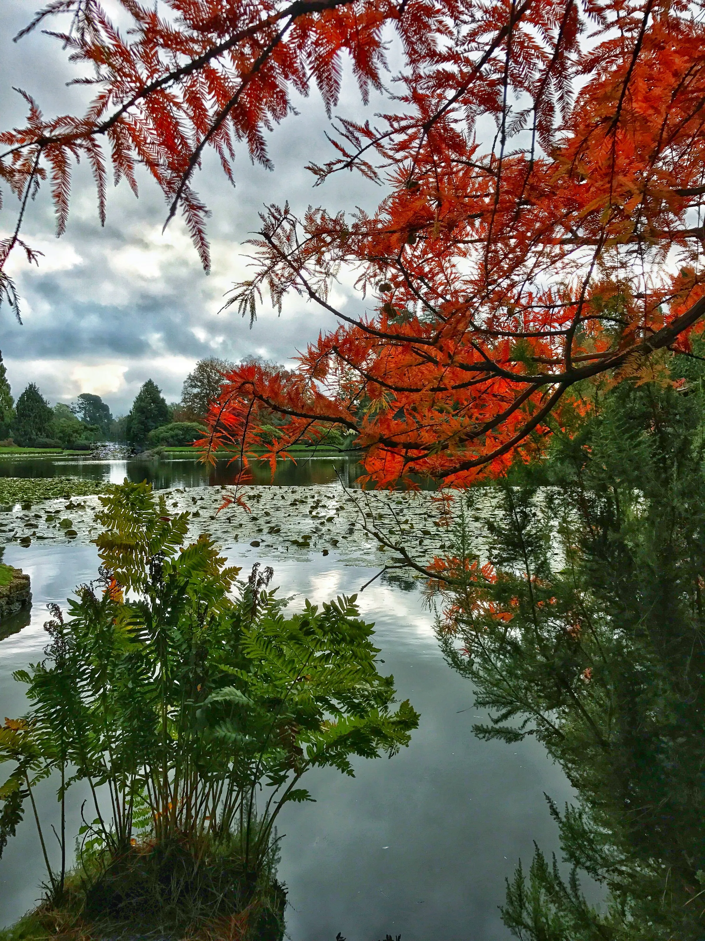 Autumnal feels