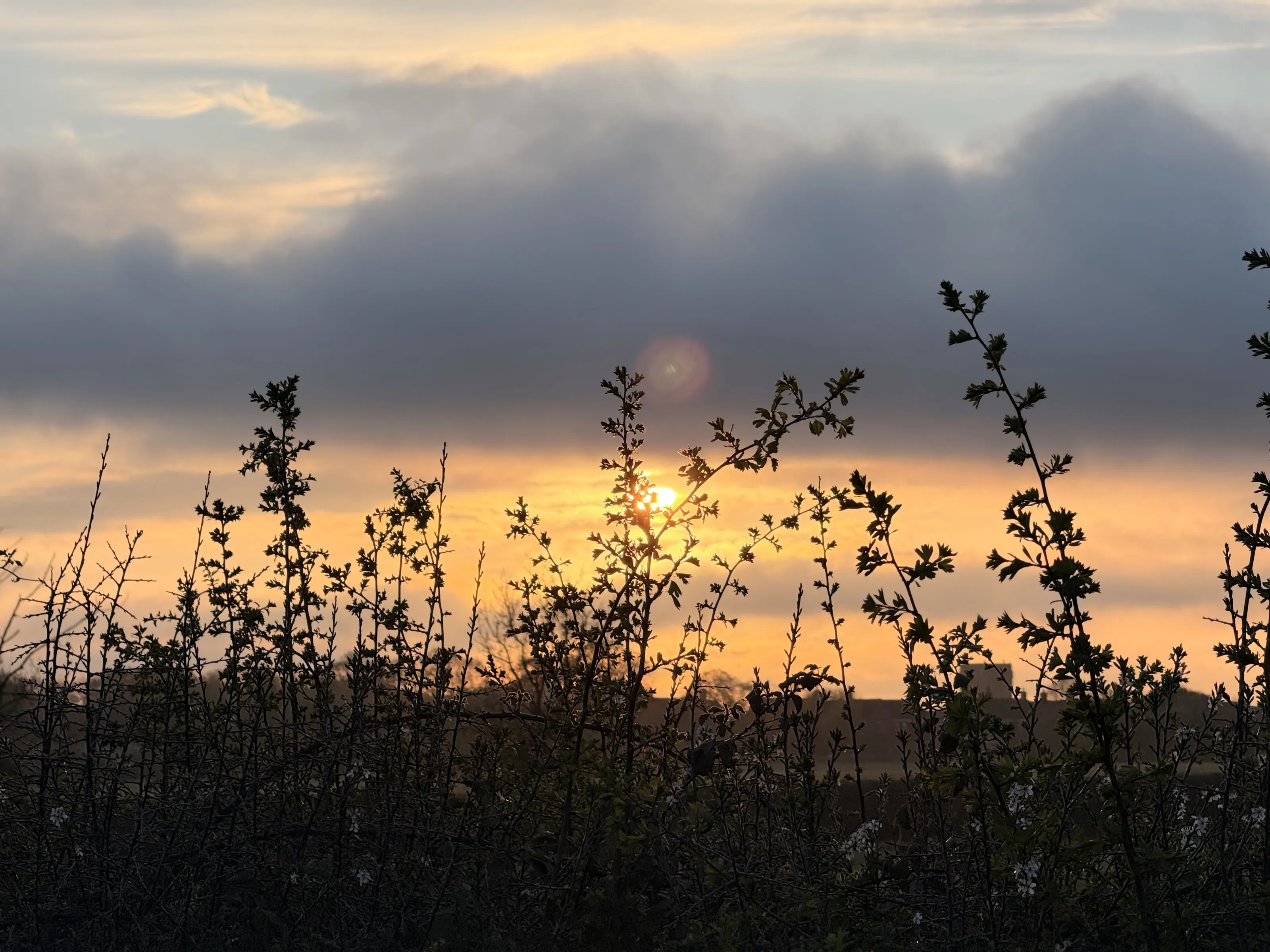 Sunset clouds