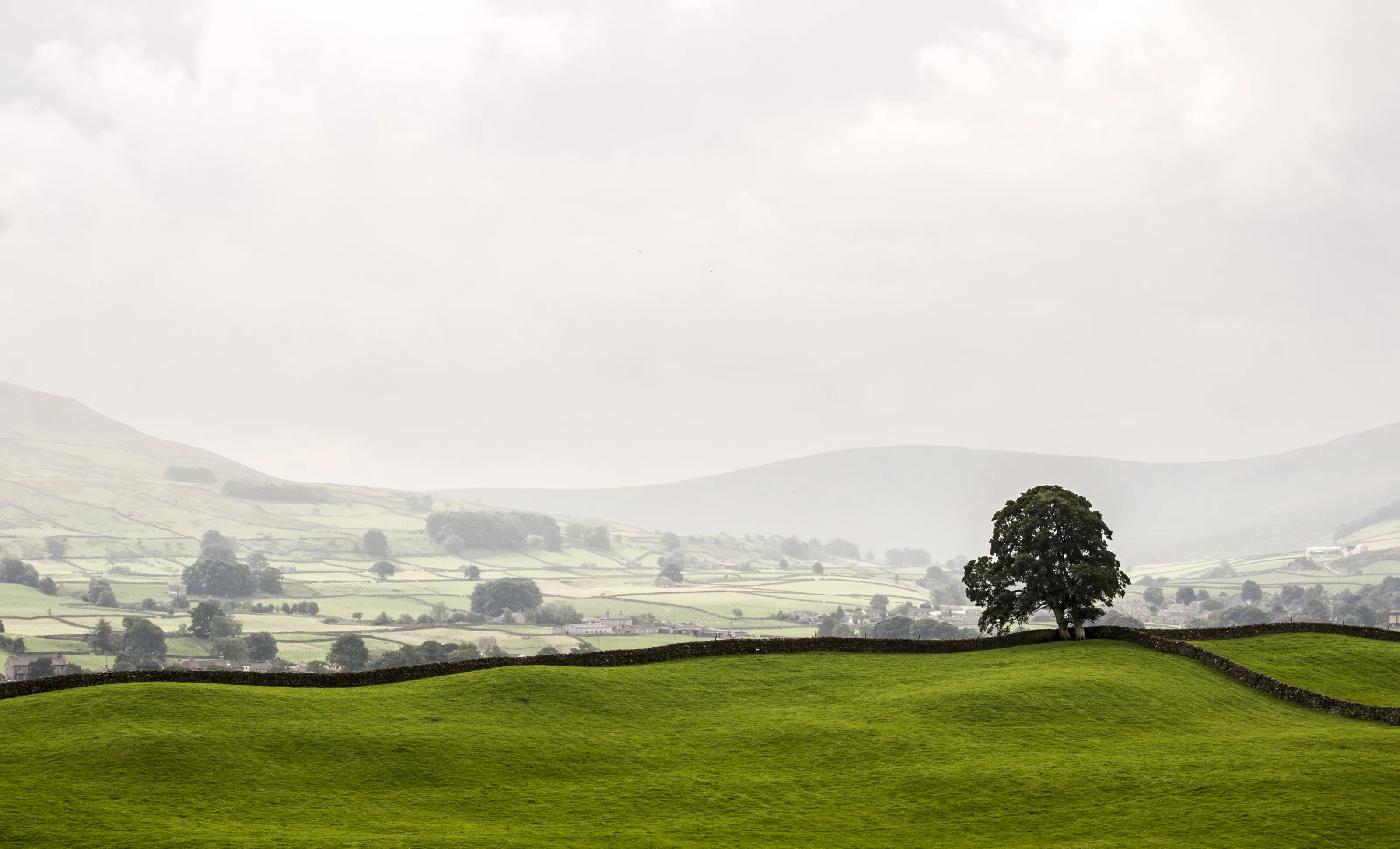 Misty morning