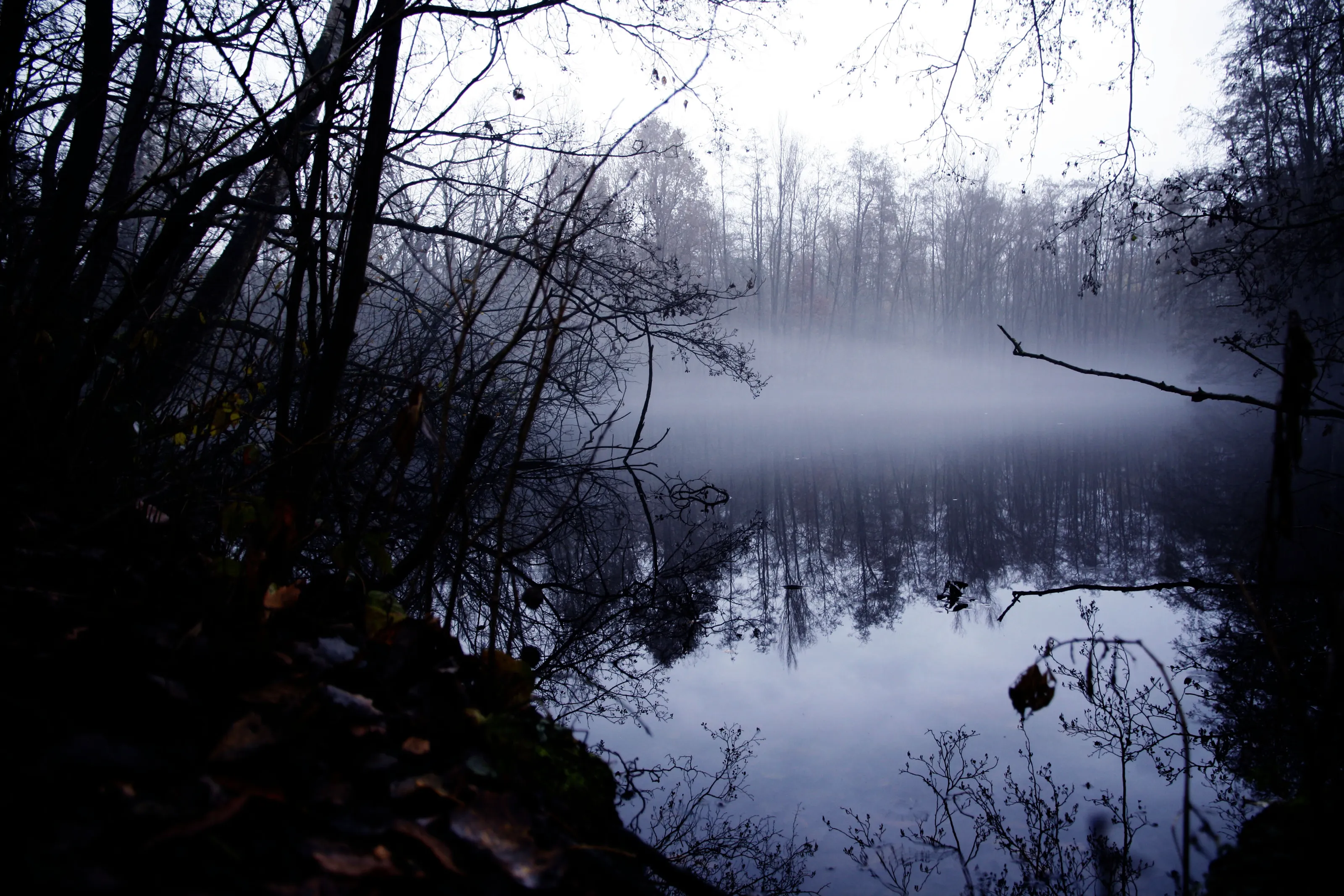 Moody landscape