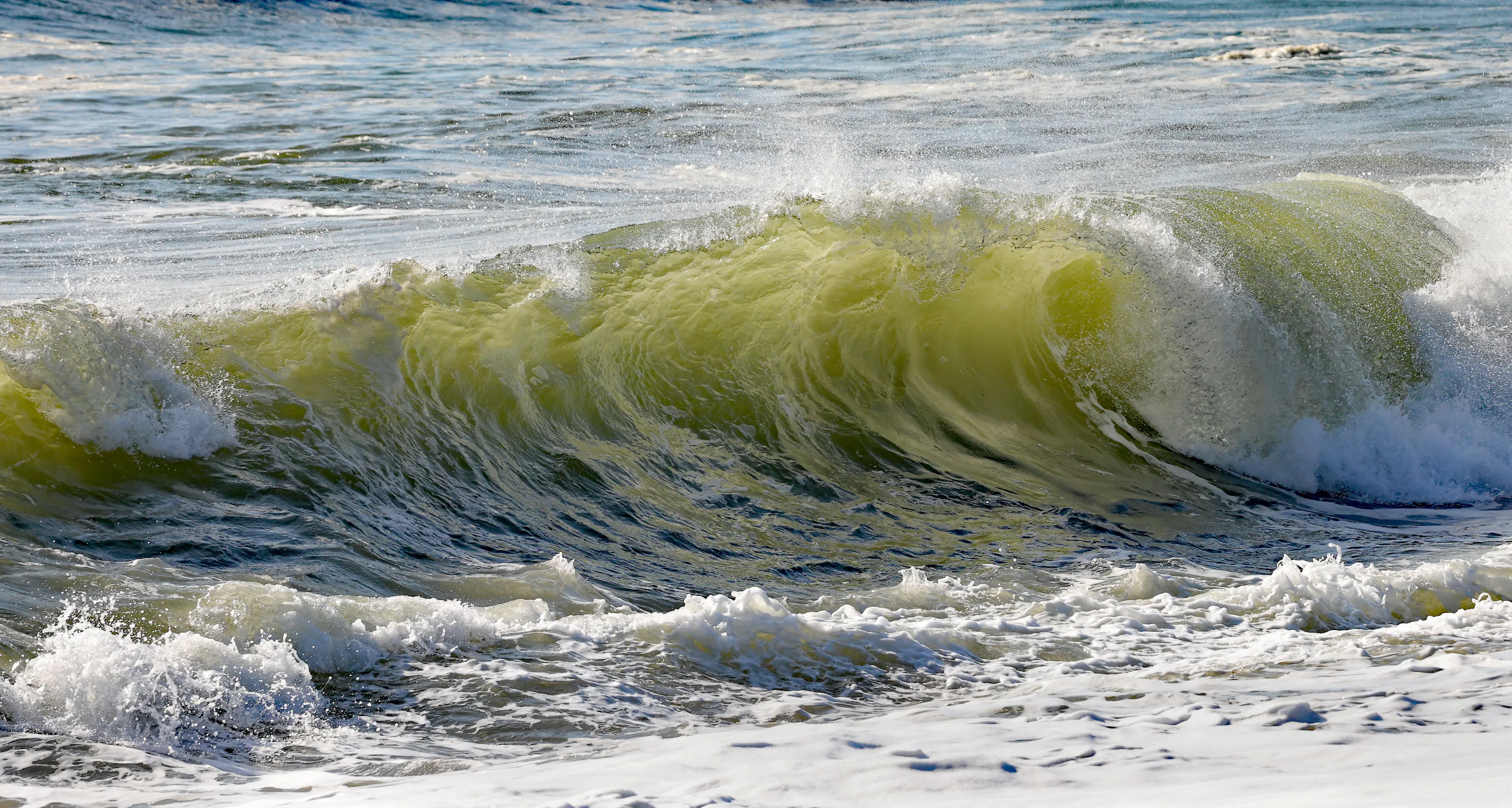 Backlit Wave