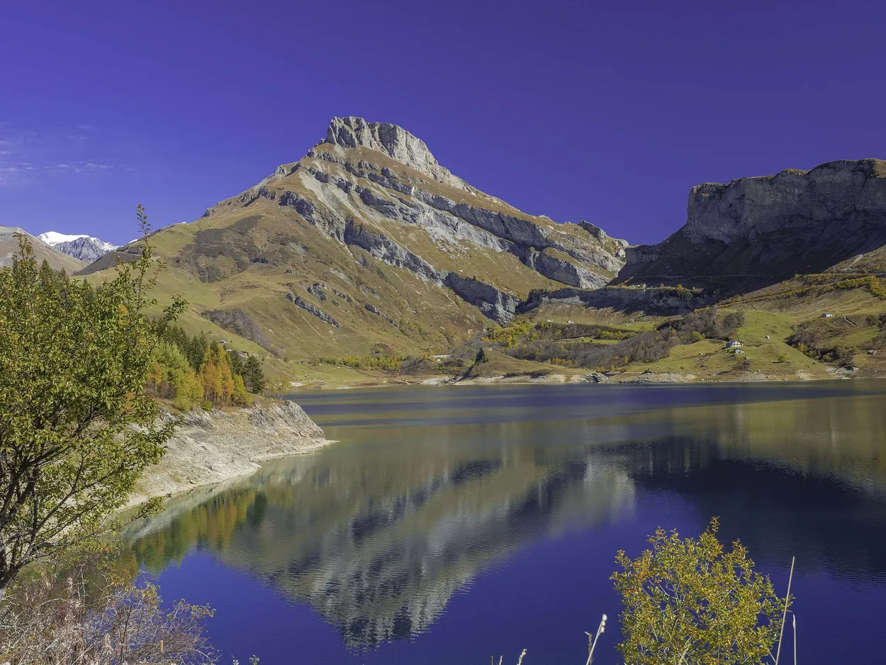 Entry 13619407