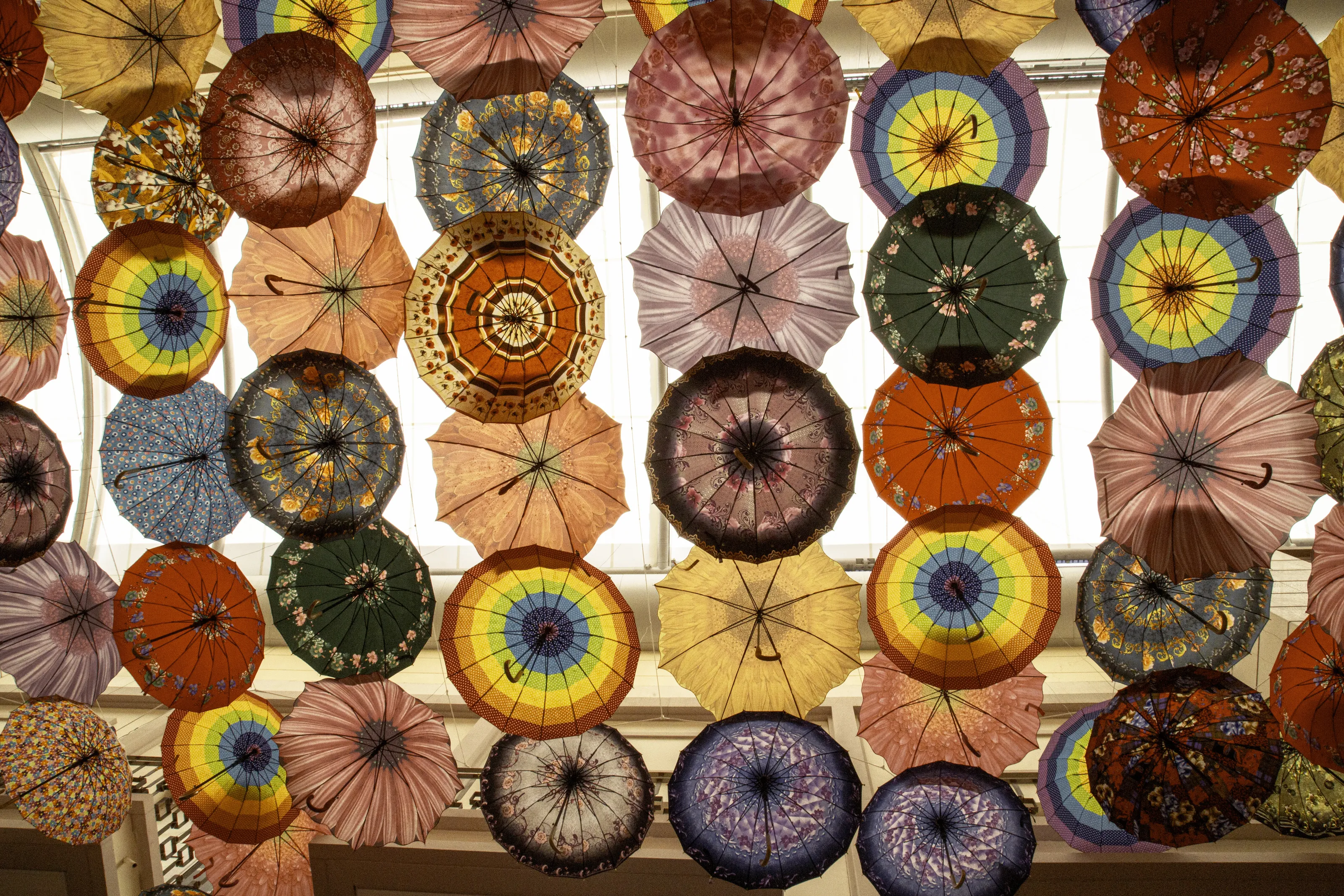 Umbrellas