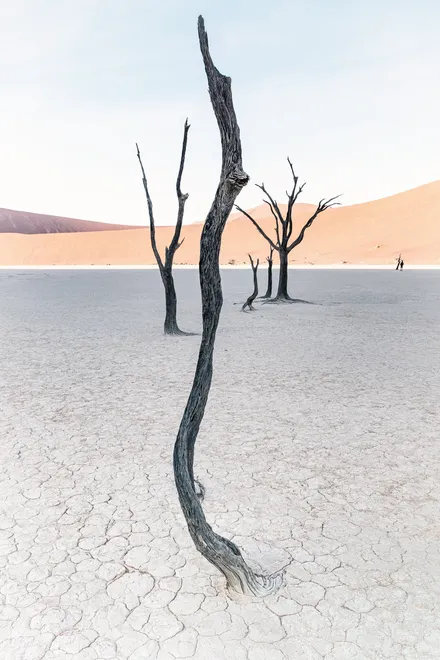 Deadvlei