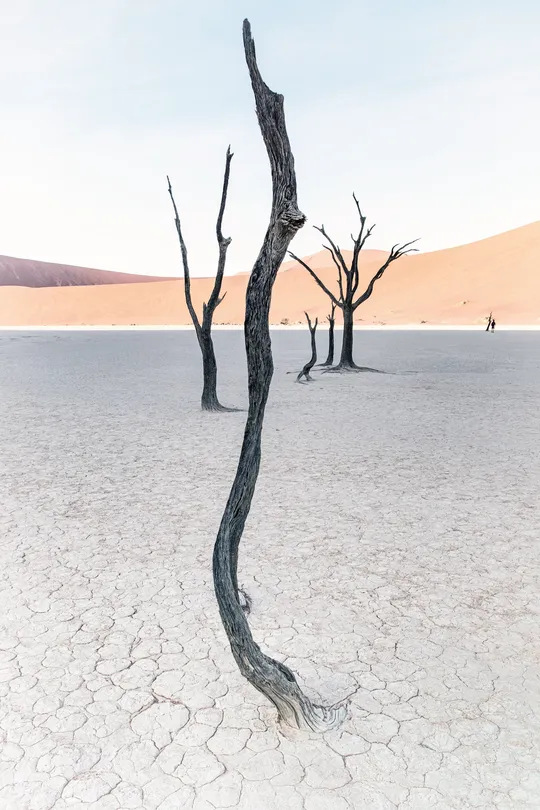 Deadvlei