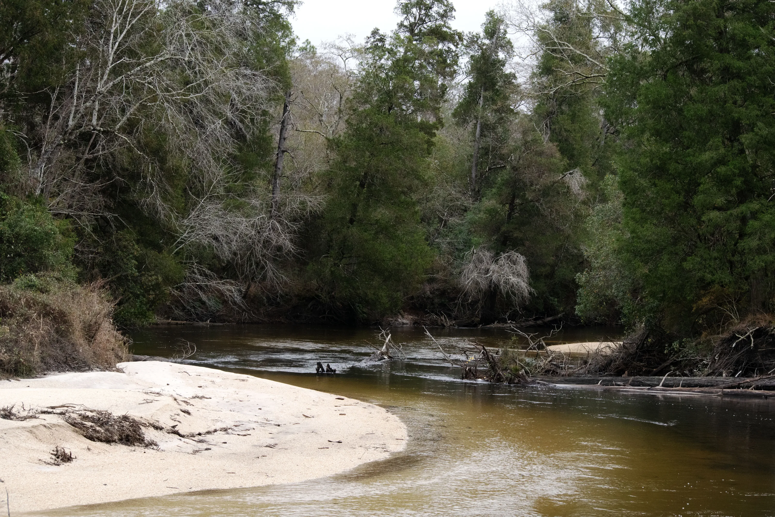 The Winding River