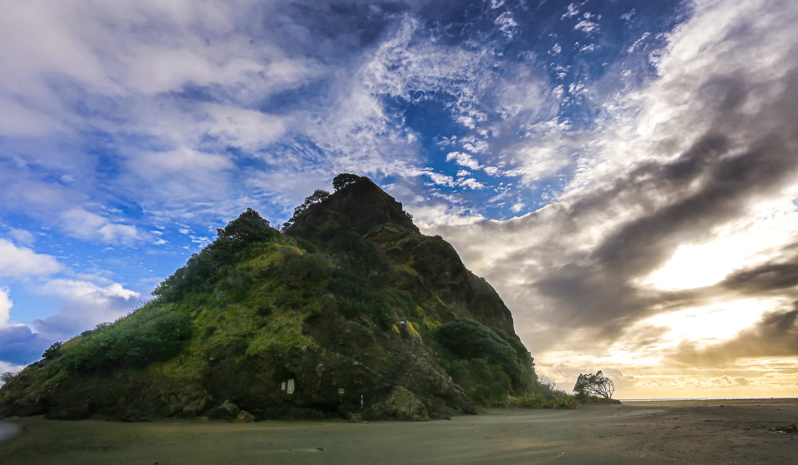 sentinel of Piha