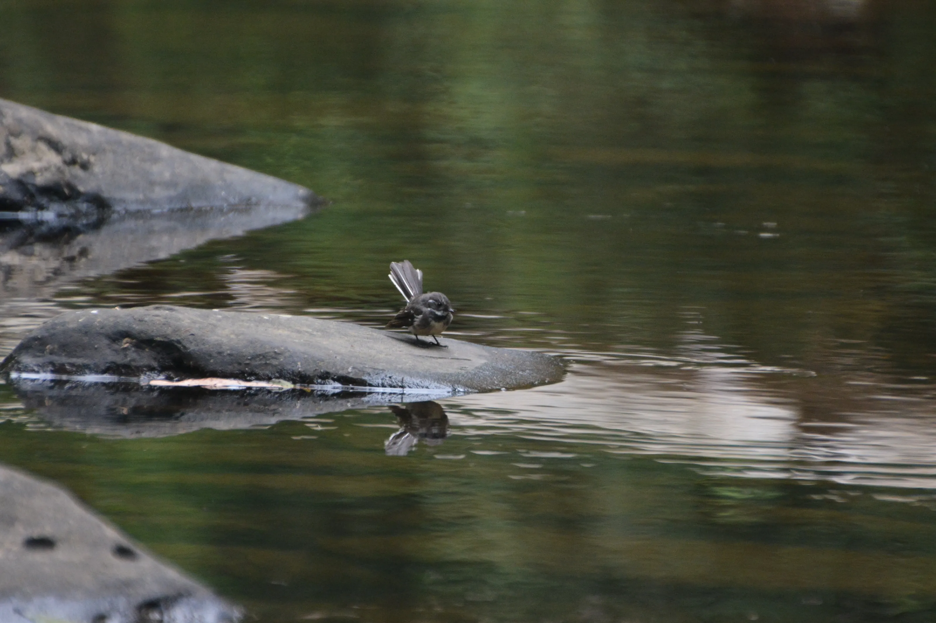 small reflections