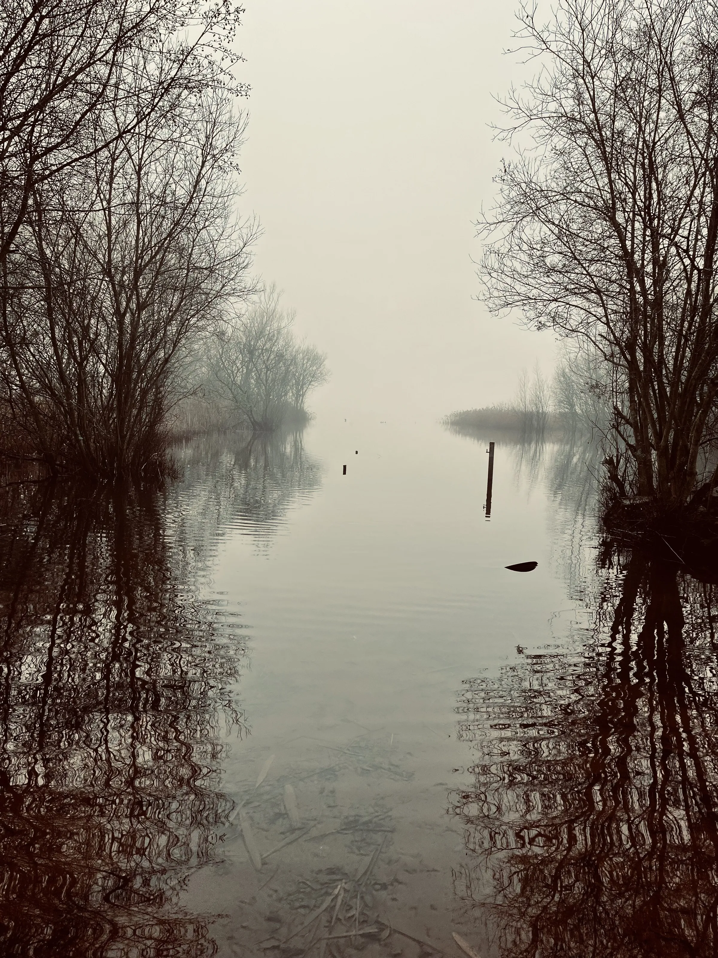 Reflections