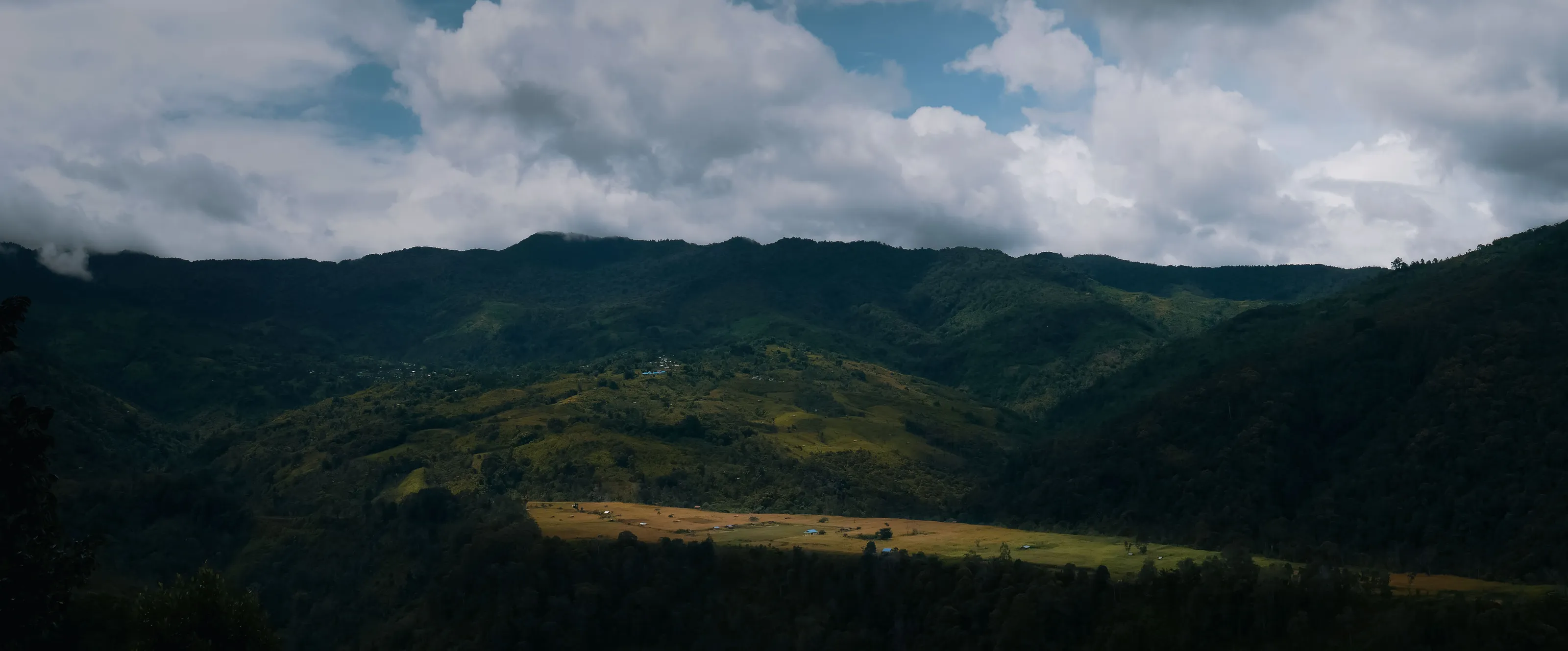 Our Land