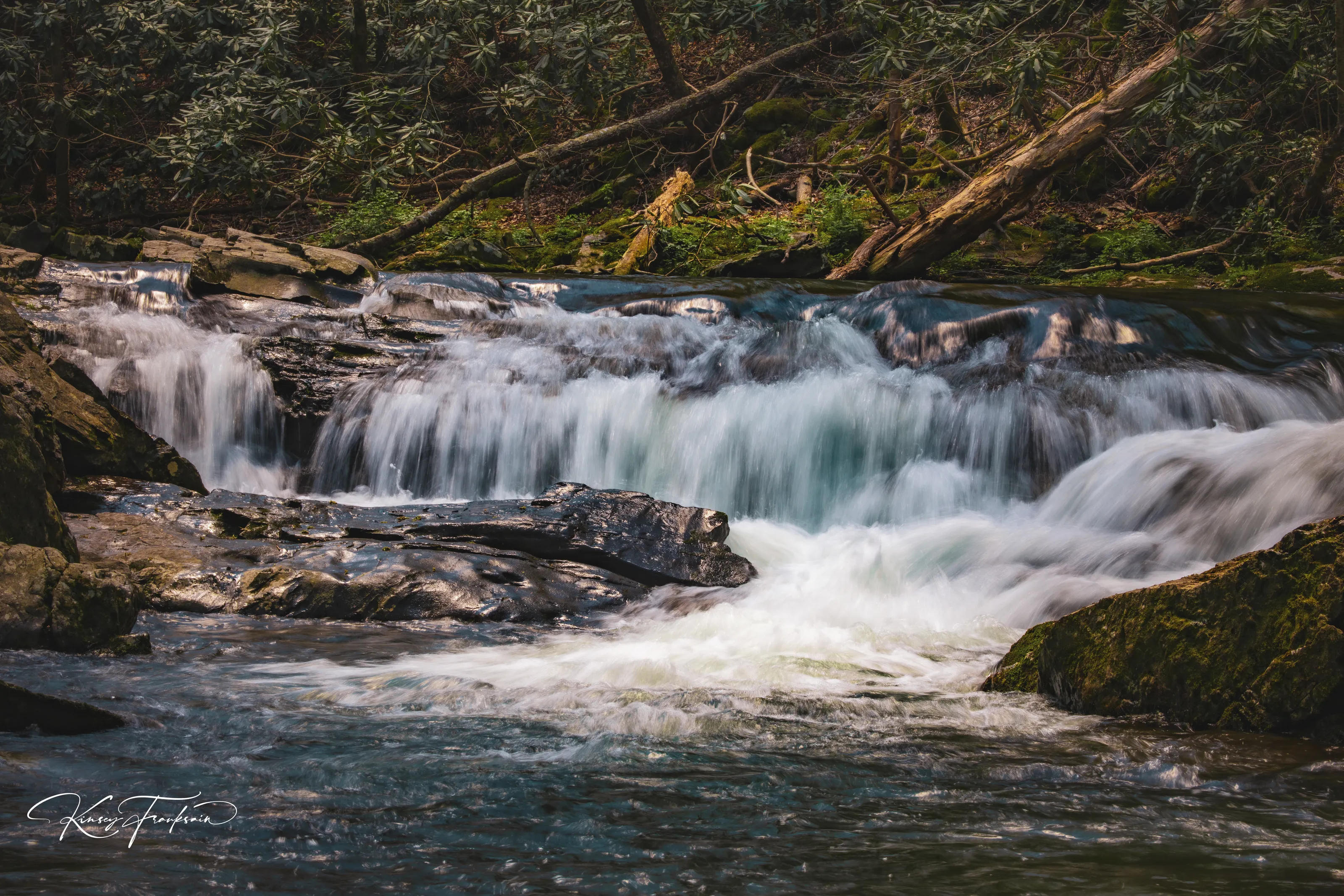 Tennessee peace of mind