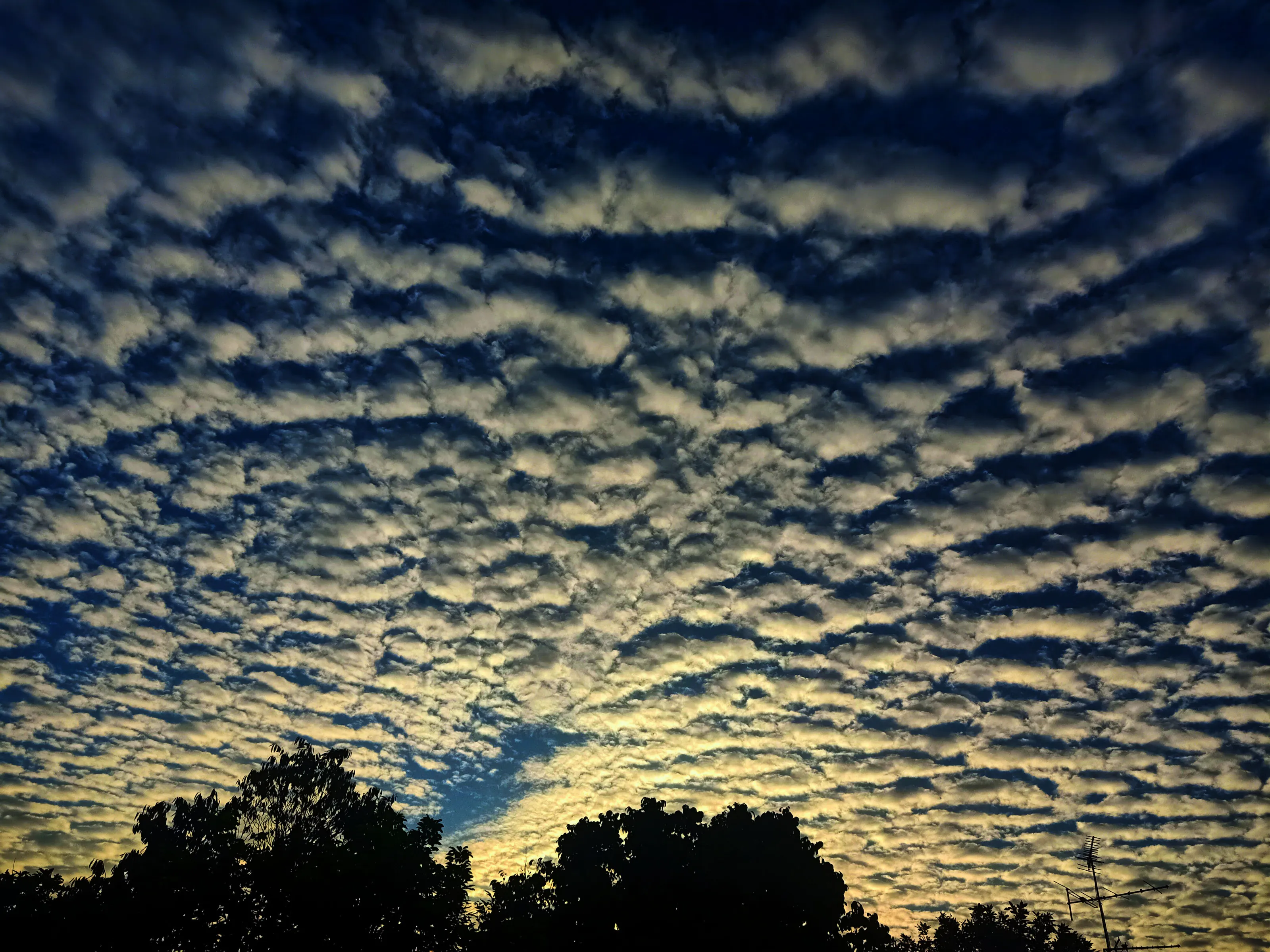 The Sky