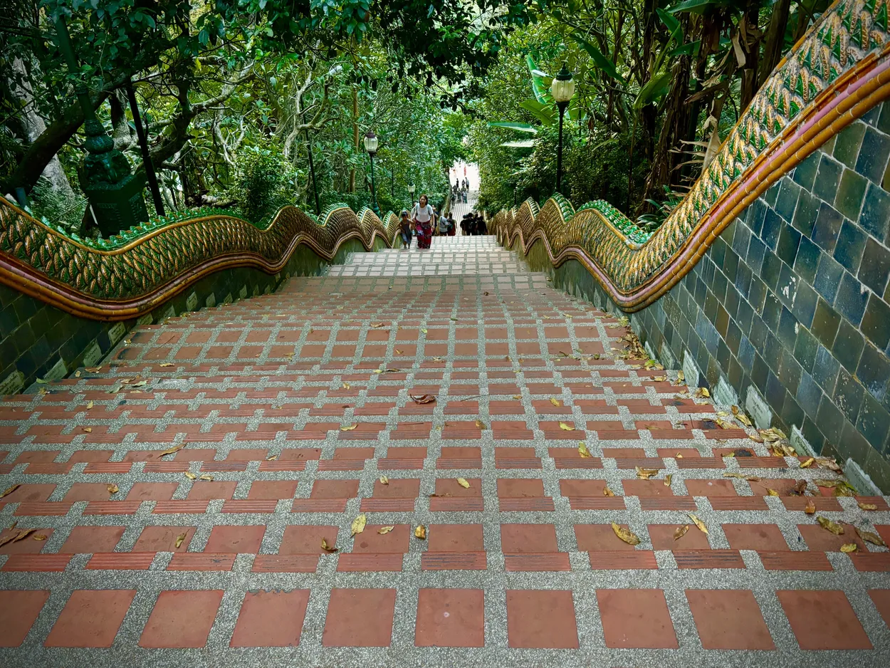 Entry 24050939