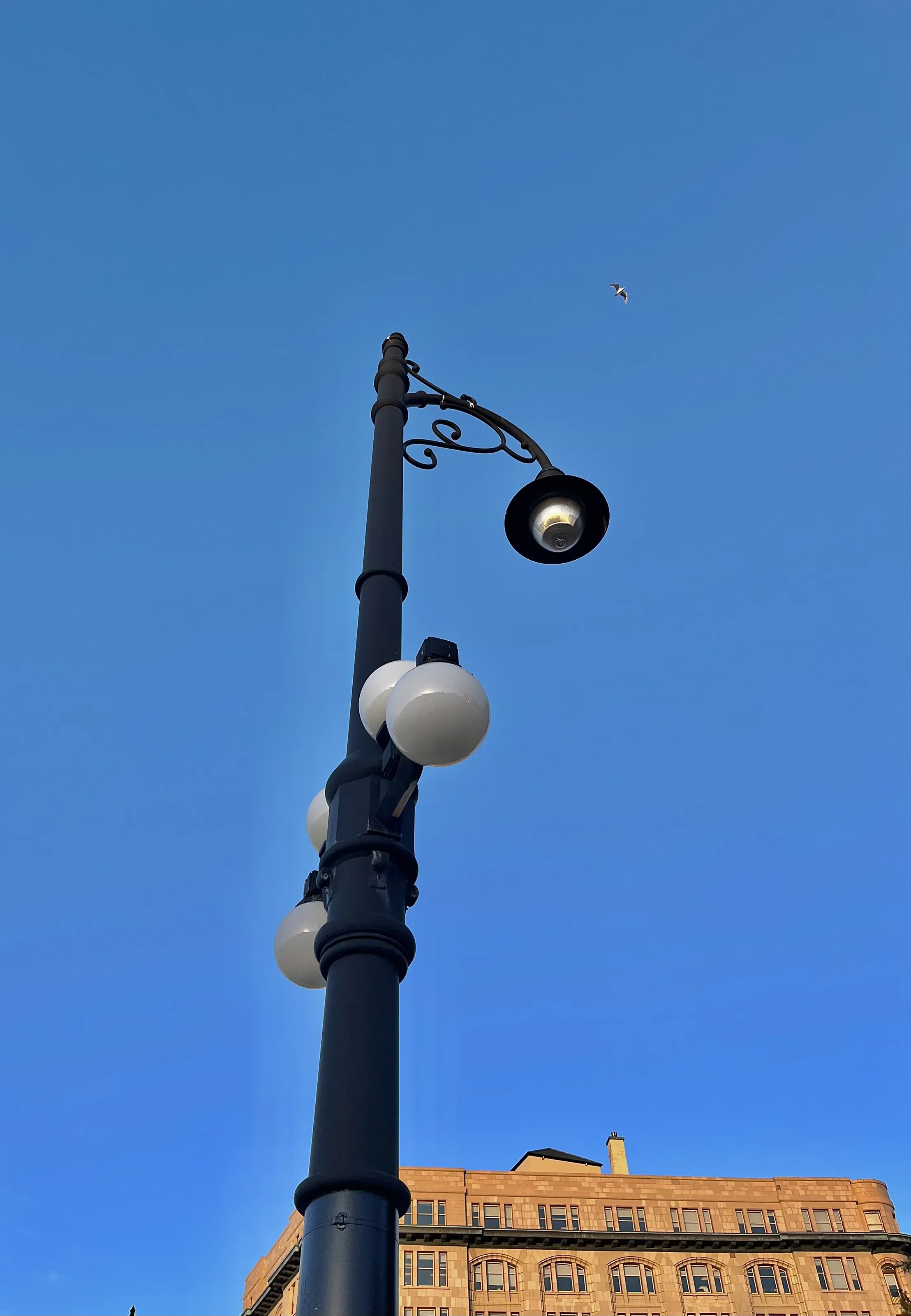 Banner image