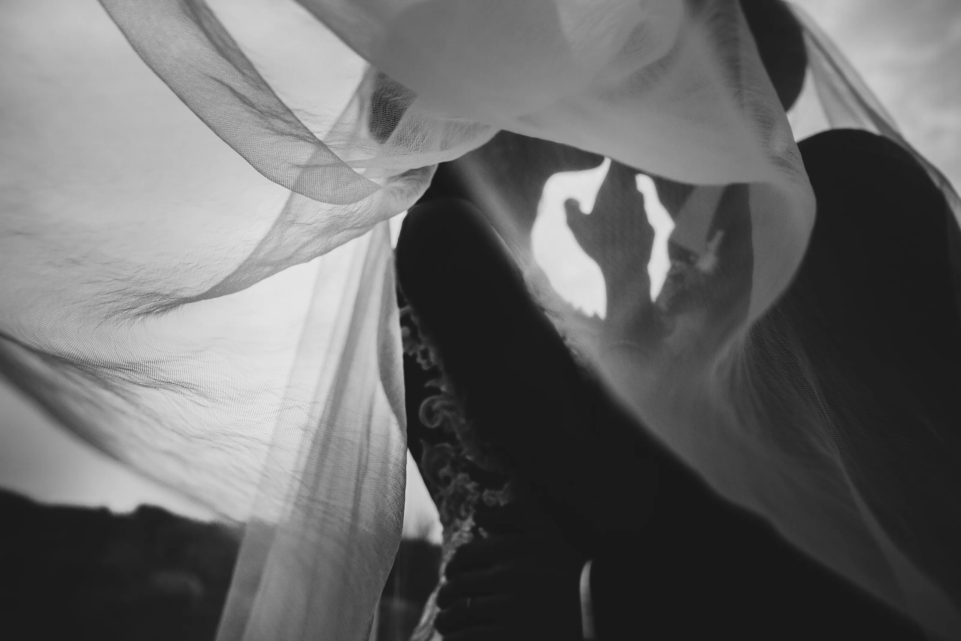 light Veil