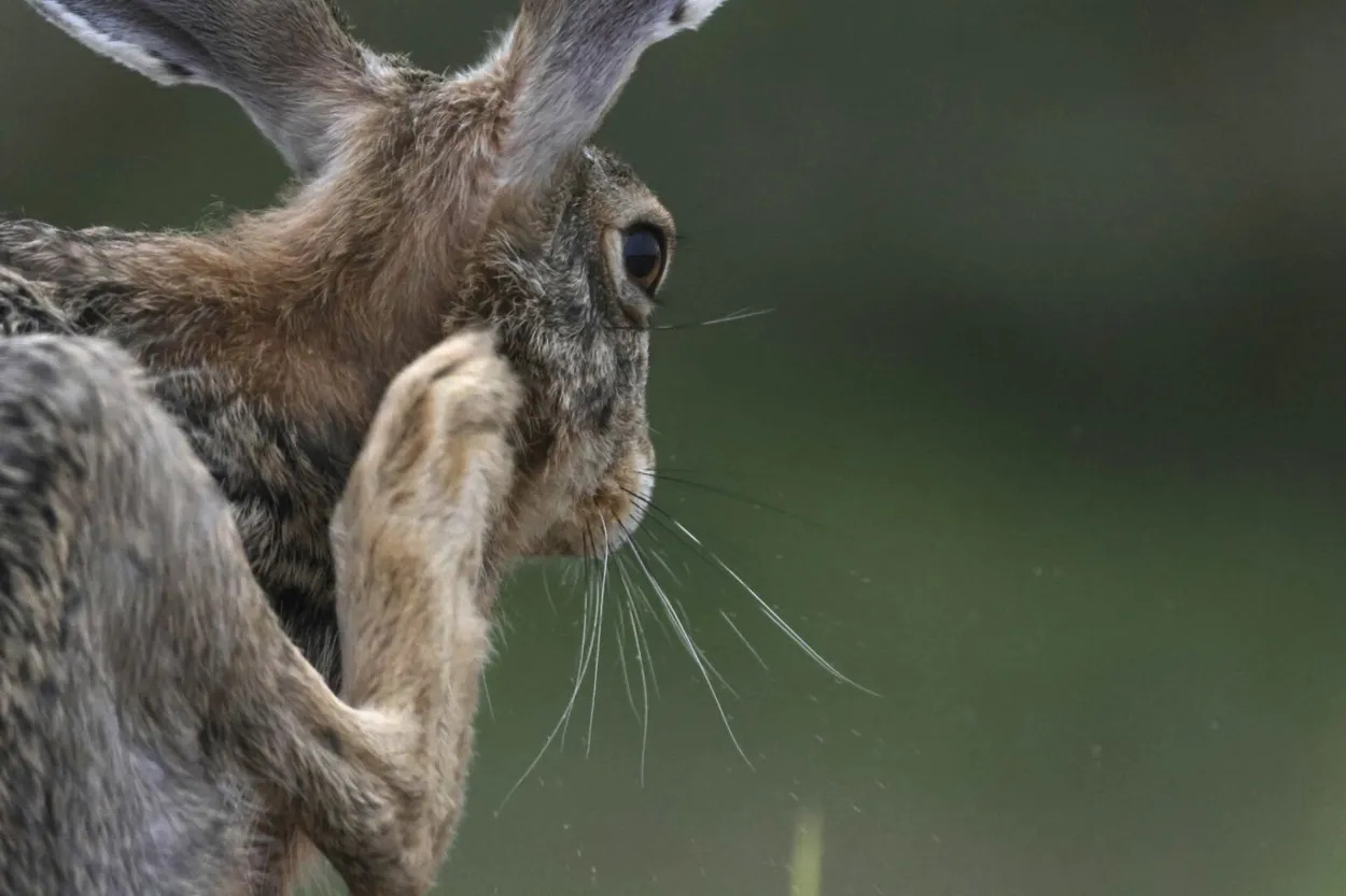 Entry 28011100