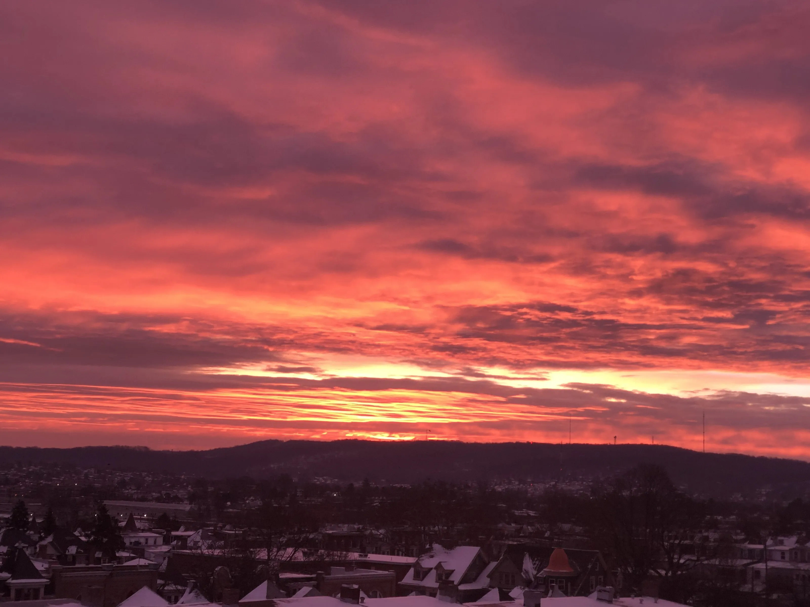 Fires in the Morning of Winter