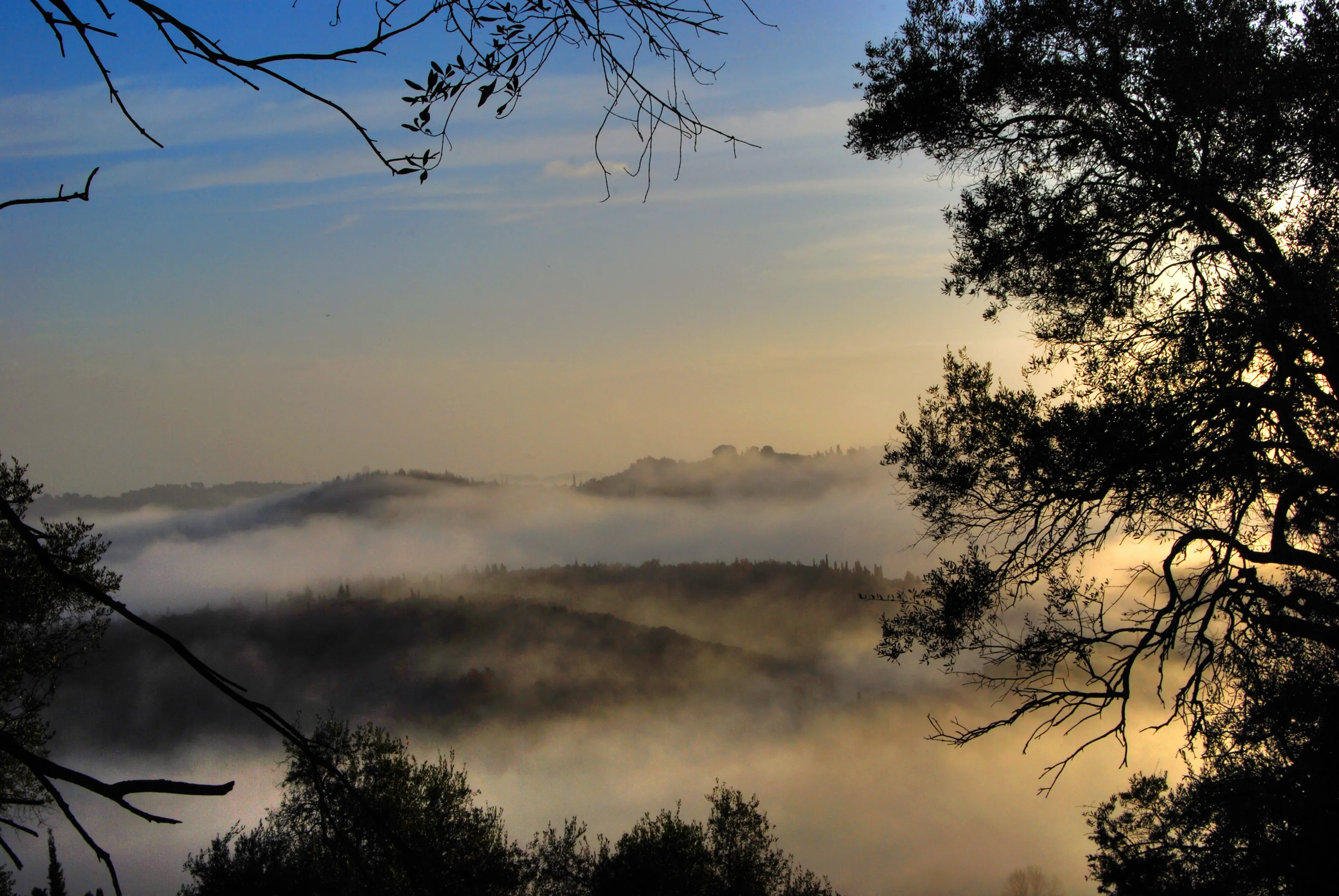 foggy morning