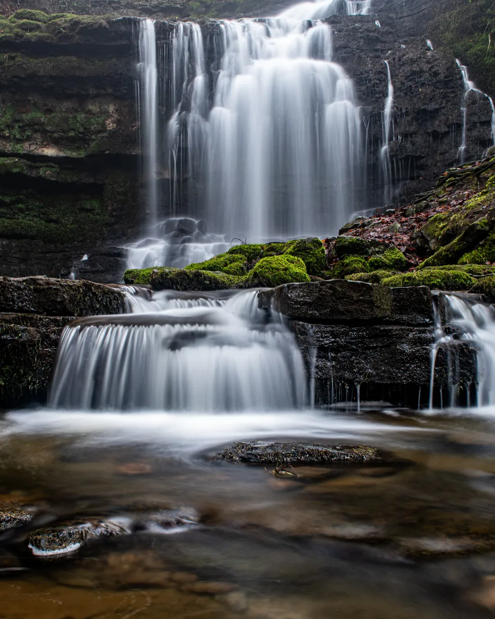 Entry 24164815