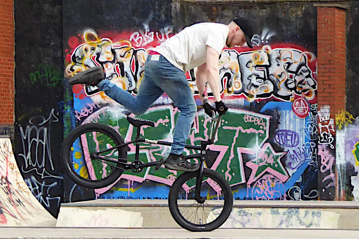 Entry 28163659