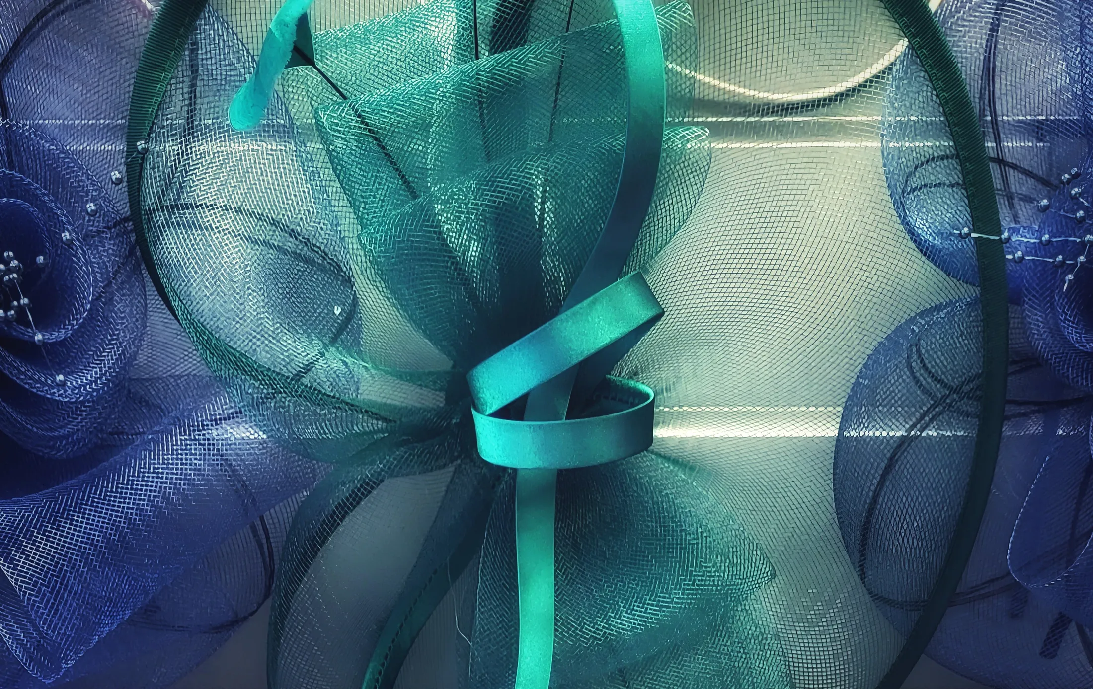 Entry 24932371