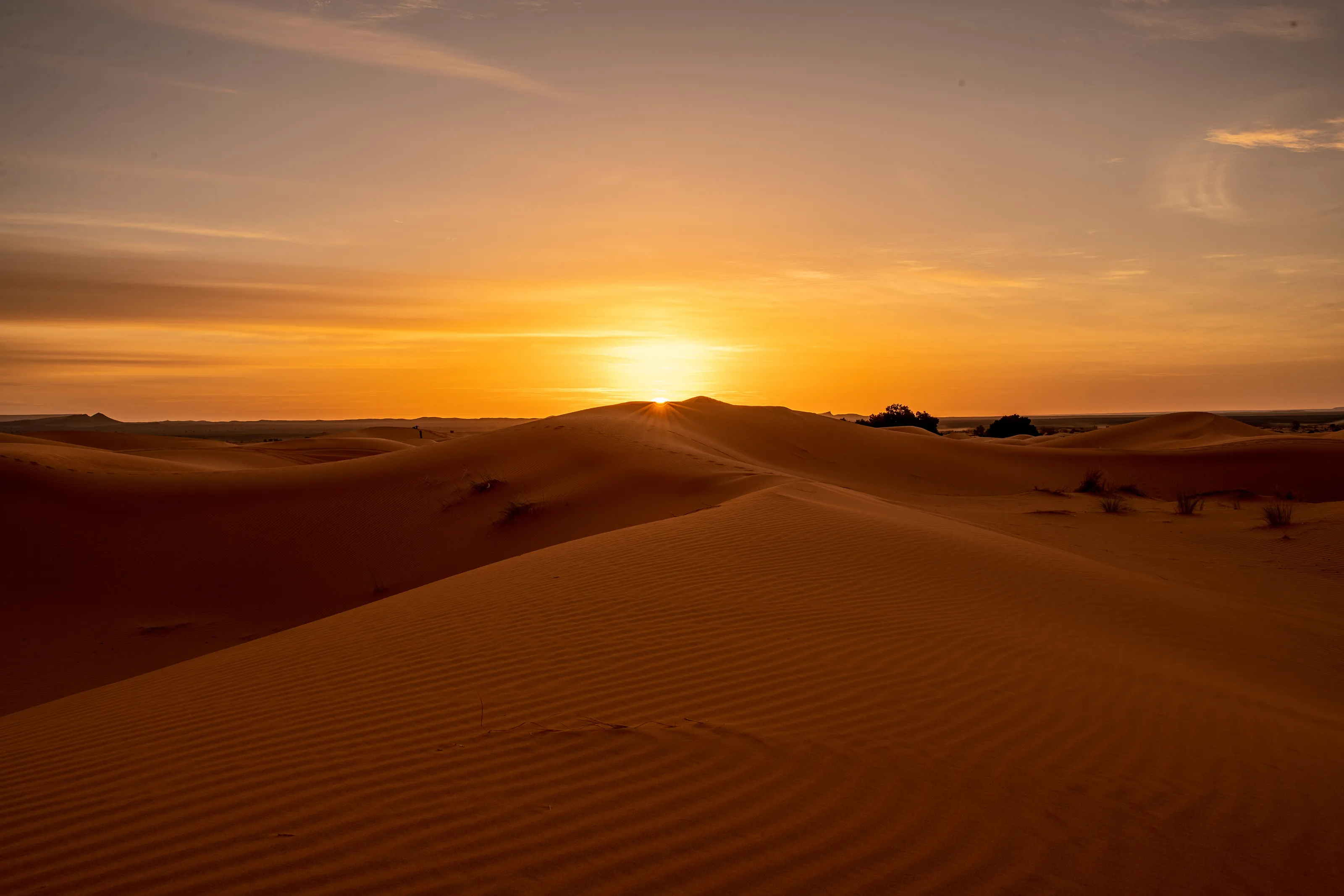 When the sun embraces the desert sands