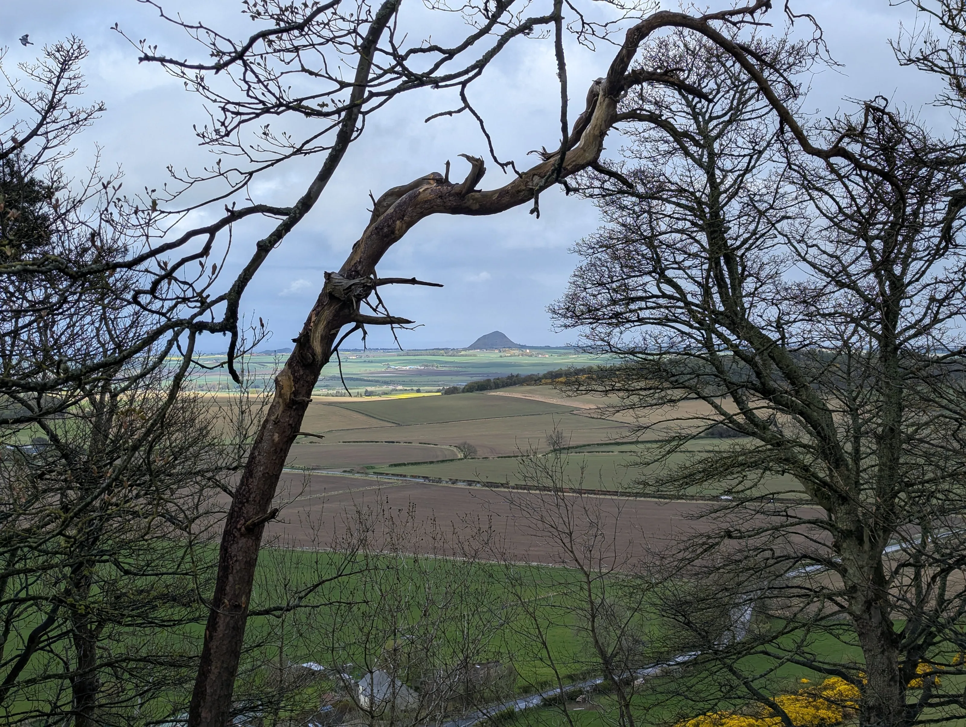 Looking East