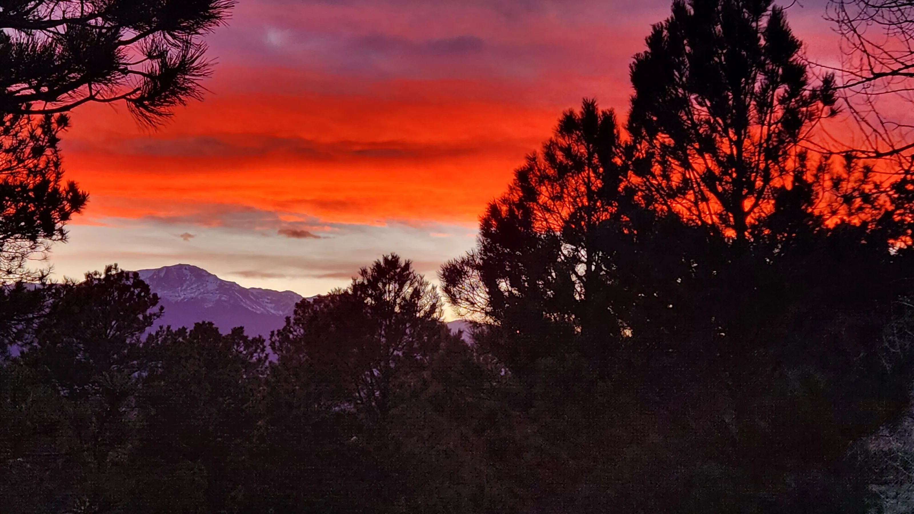 Purple Mountain Majesty