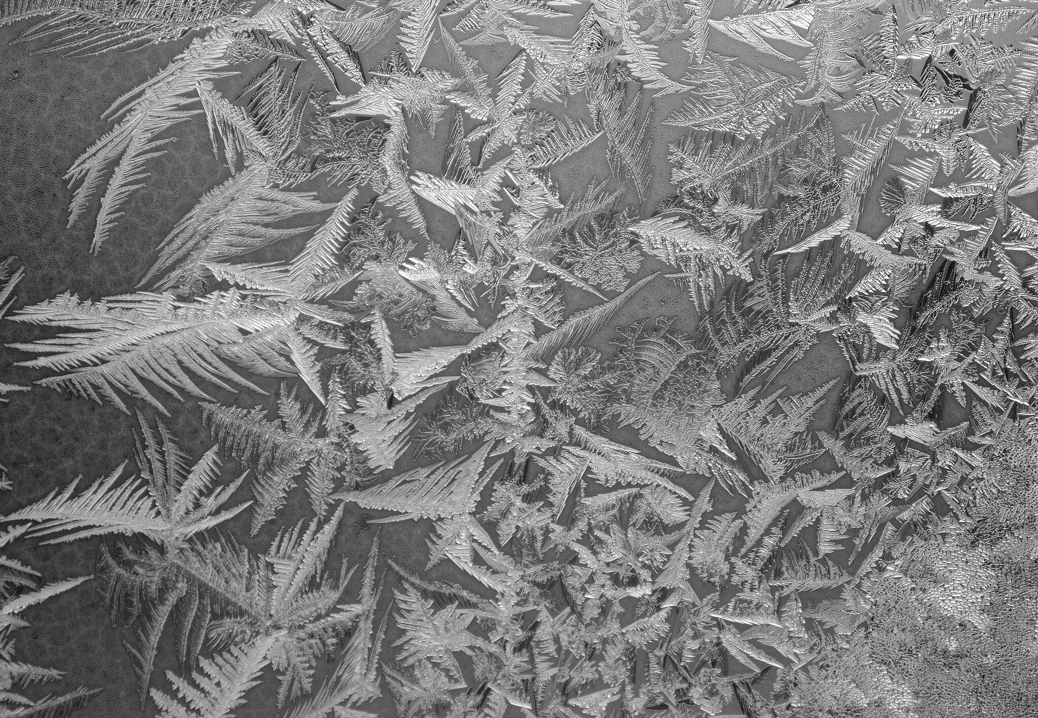 Snowflakes