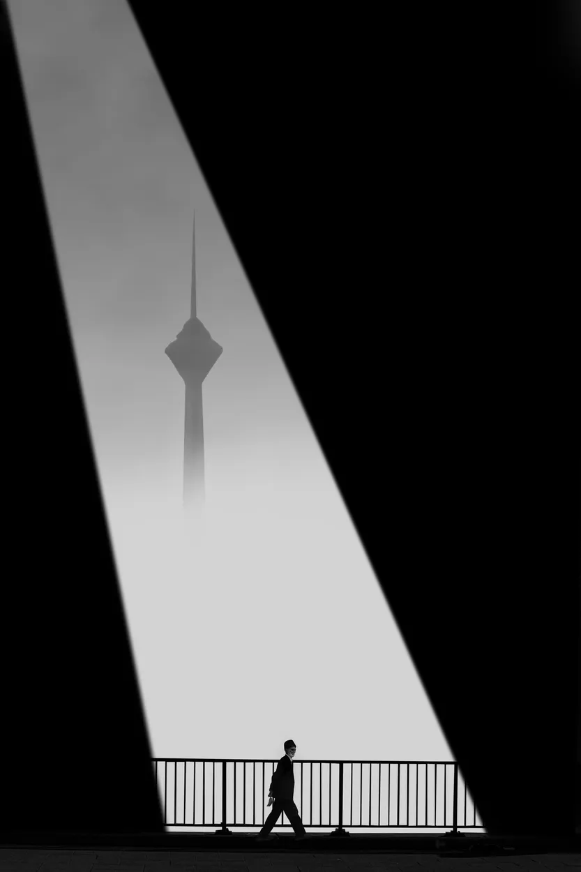 Entry 24094522