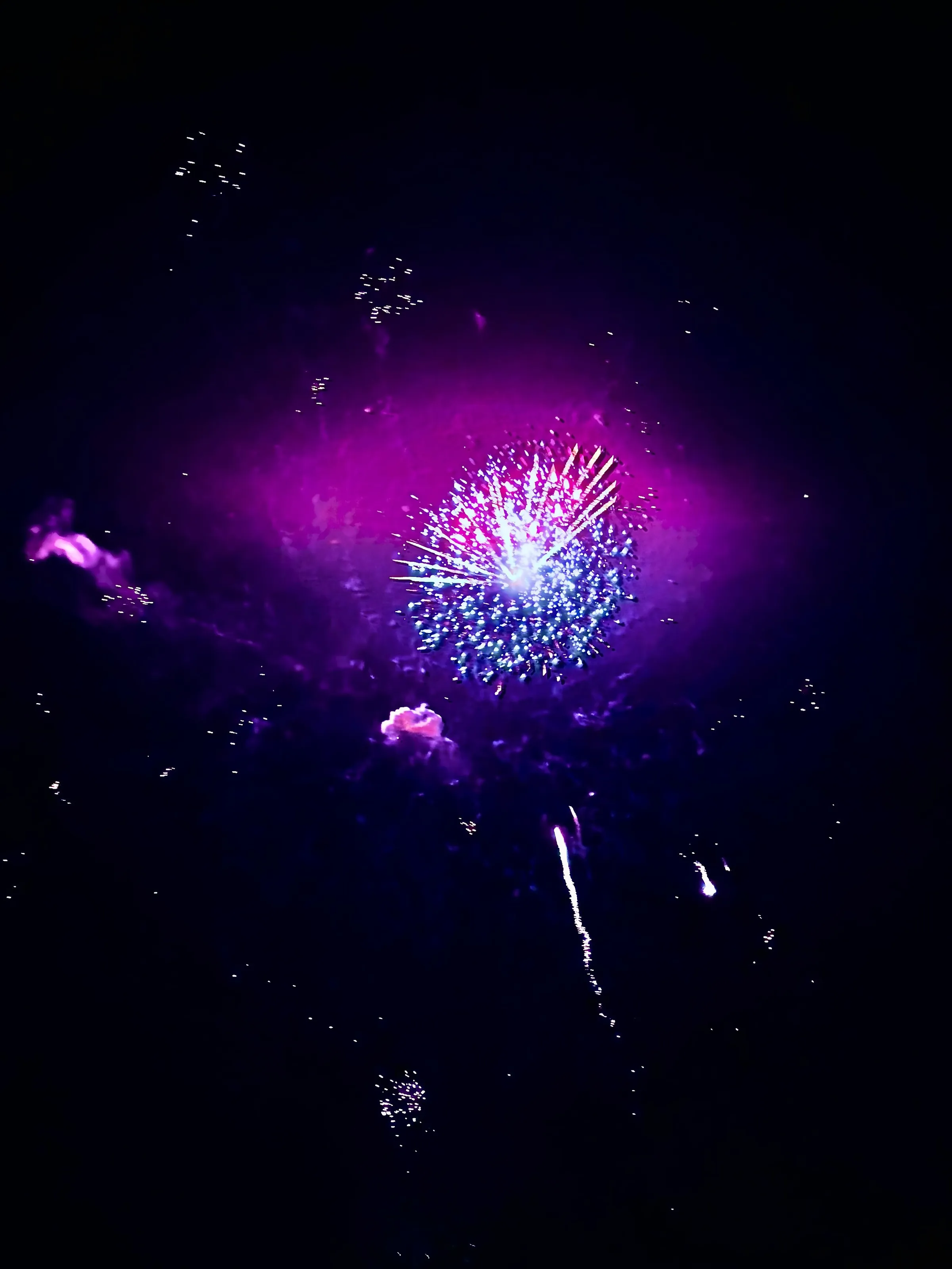 Banner image