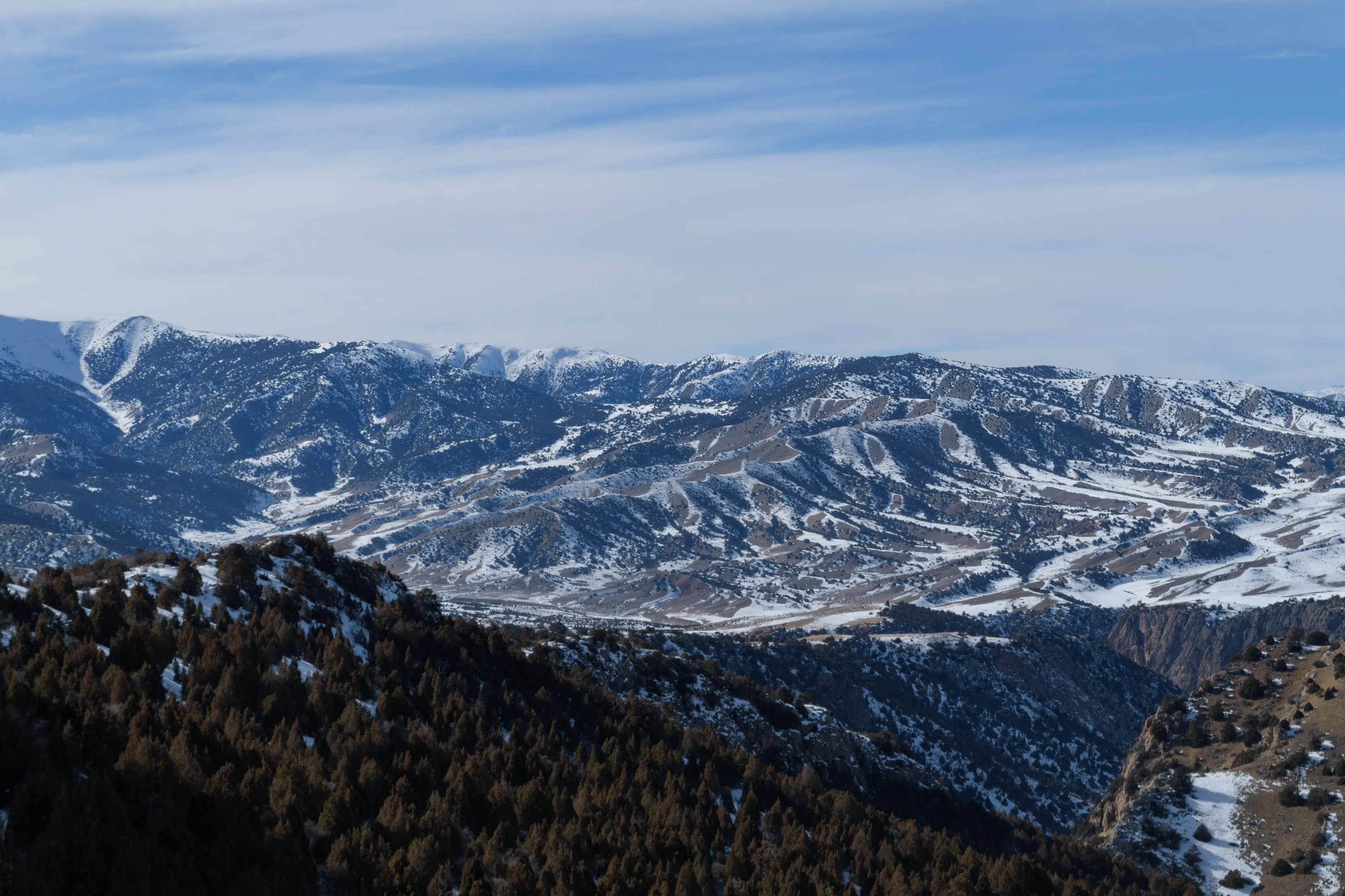 Zaamin Mountains