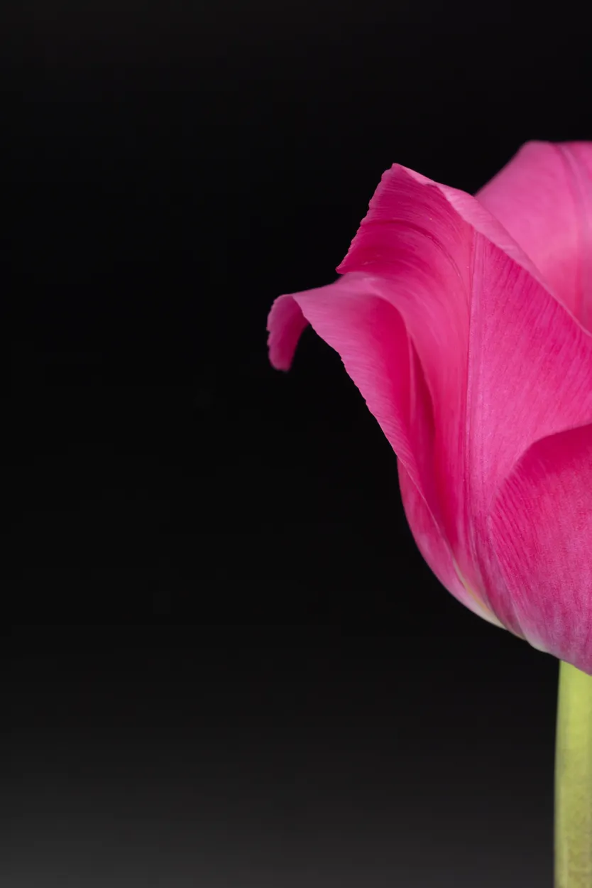 Entry 24708892