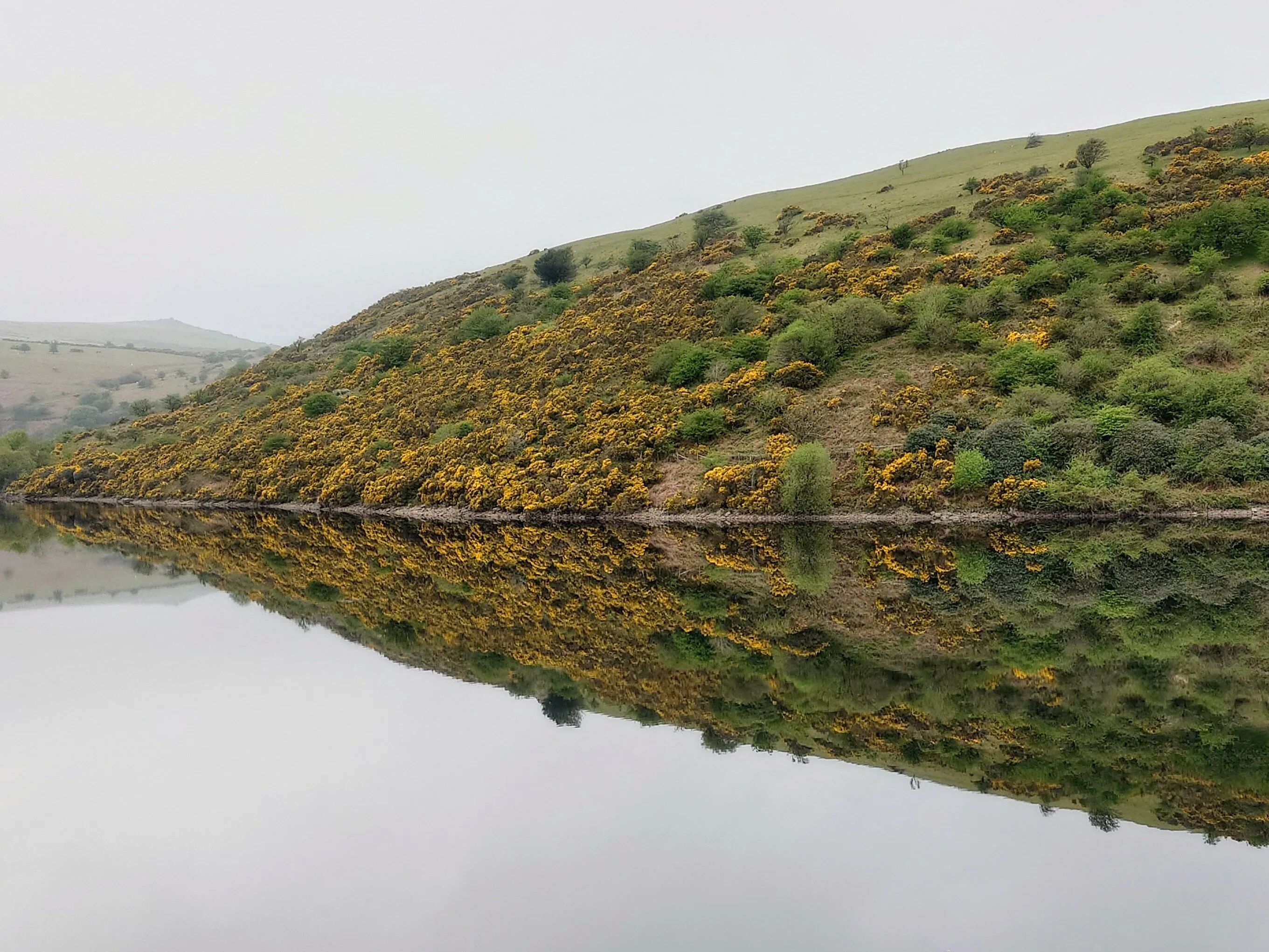 Meldon Reservoir