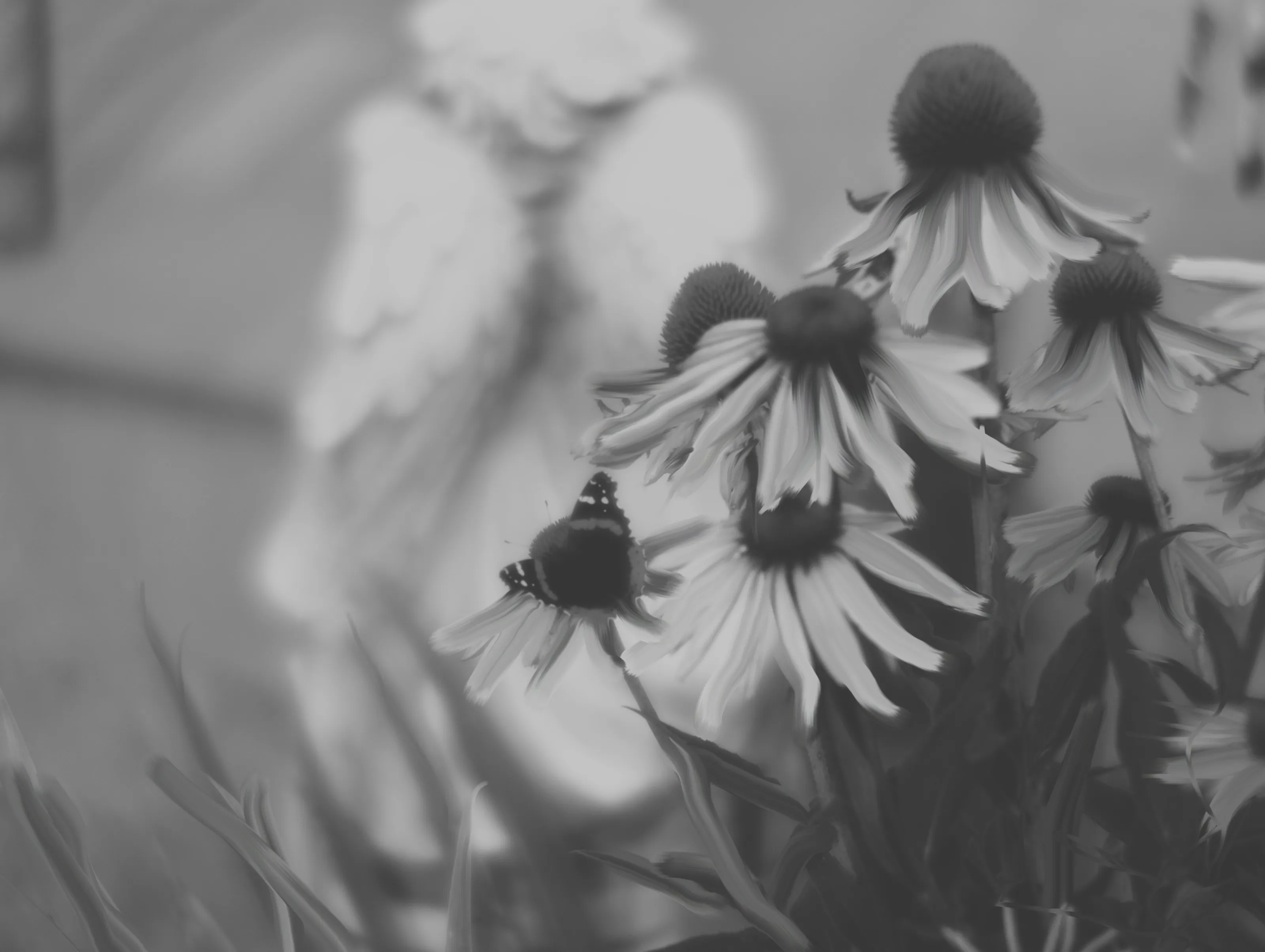 Smudged Coneflower B&W
