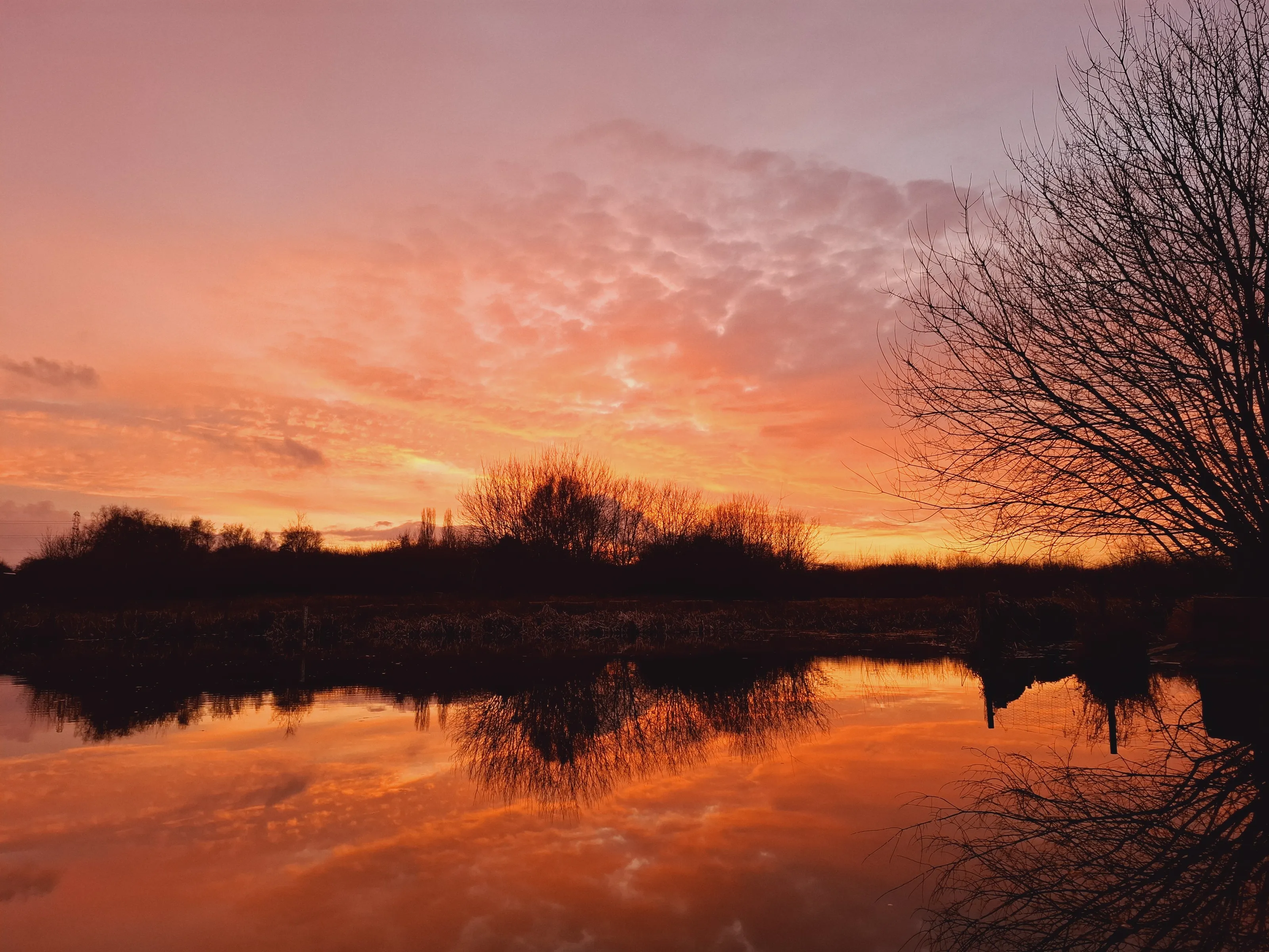 Sunset over the pond