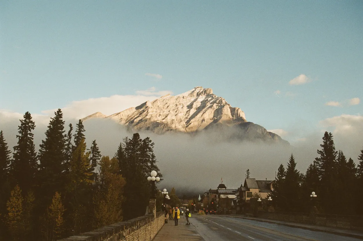 Entry 24119420