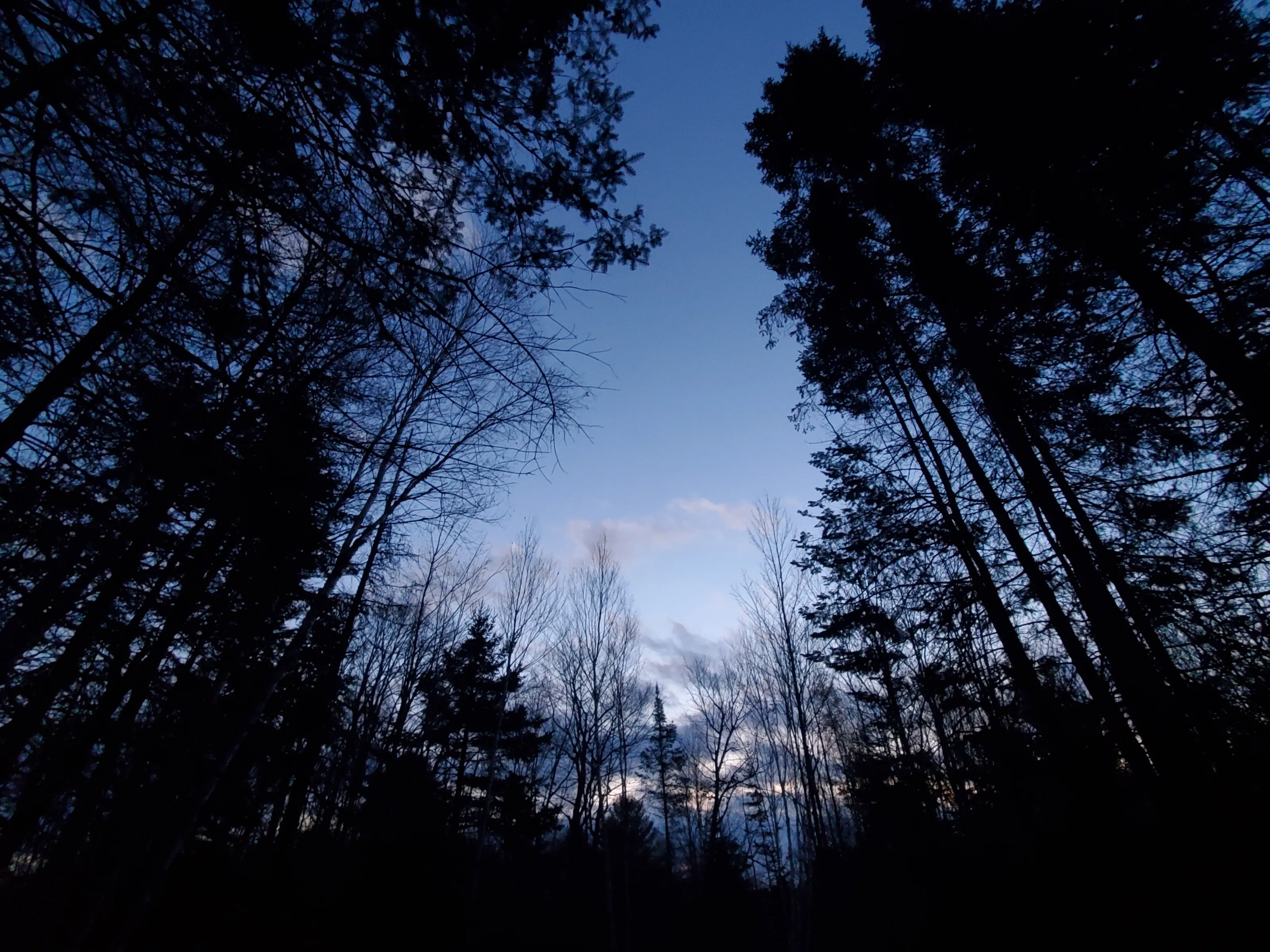 Northern Sky