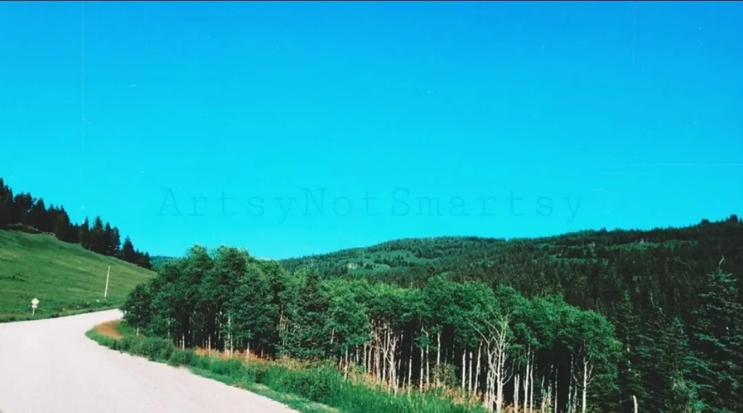 Banner image