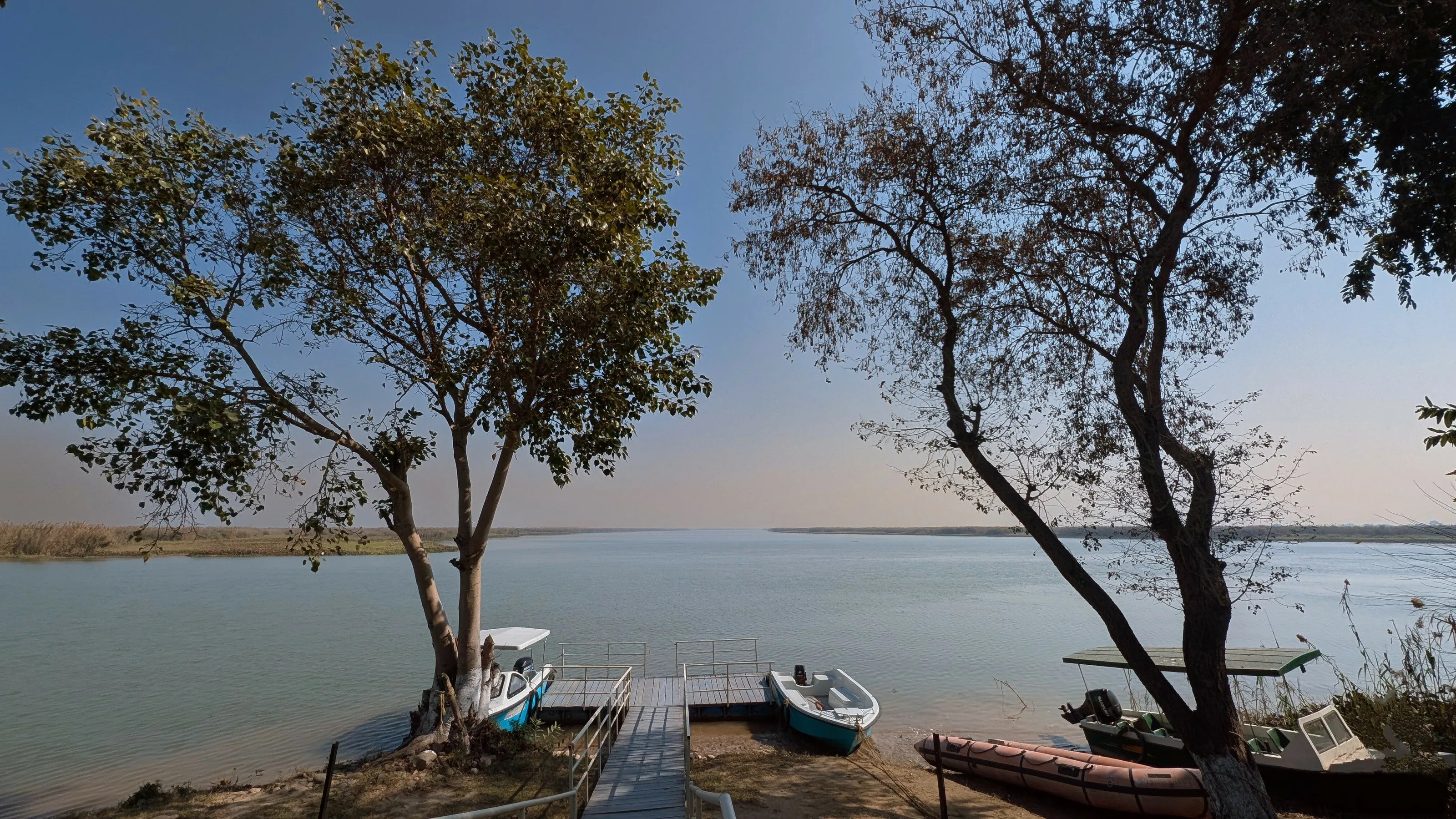 This peaceful moment capture at asshore of harike pattan bird sanctuary
