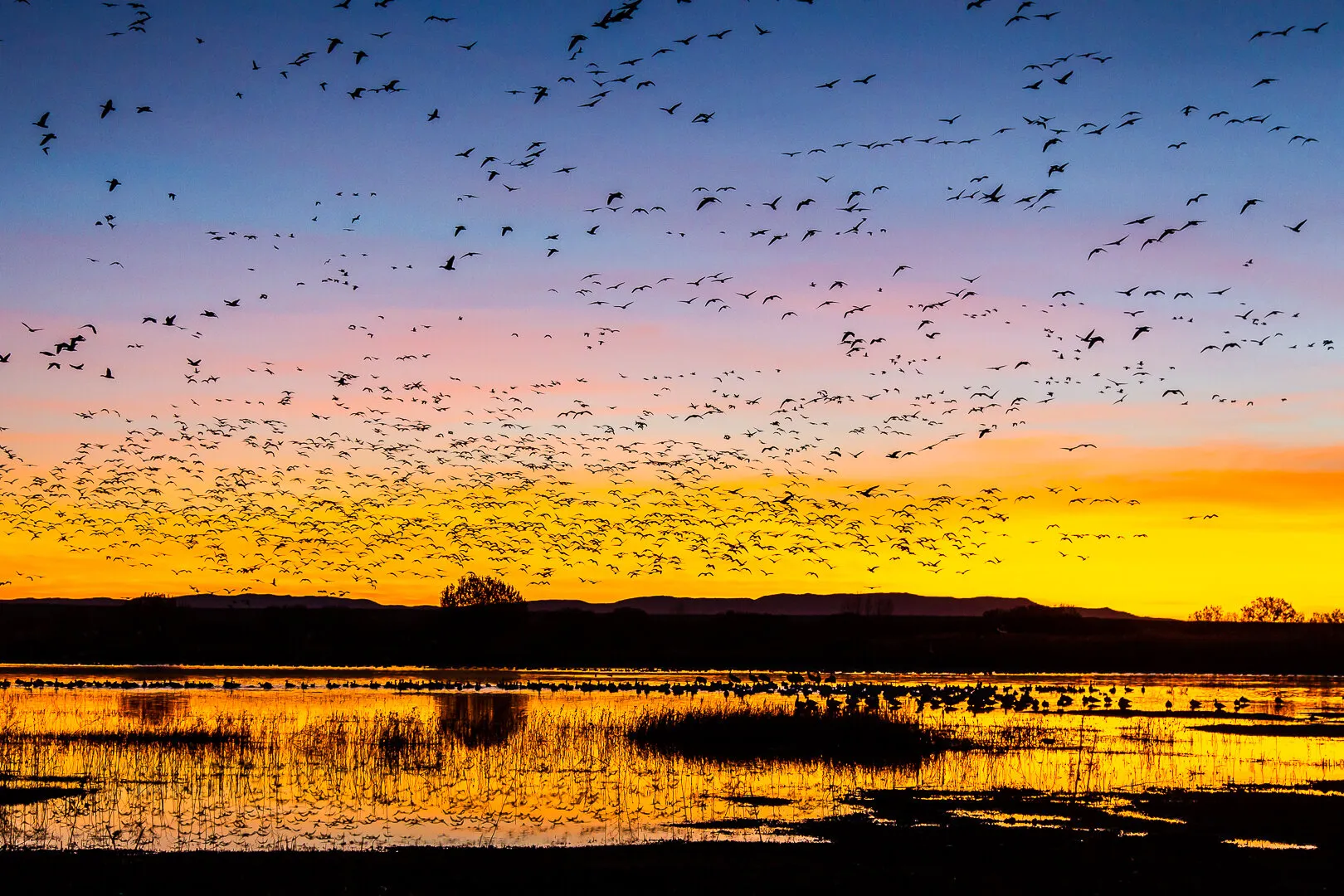 Sunrise Traffic Jam
