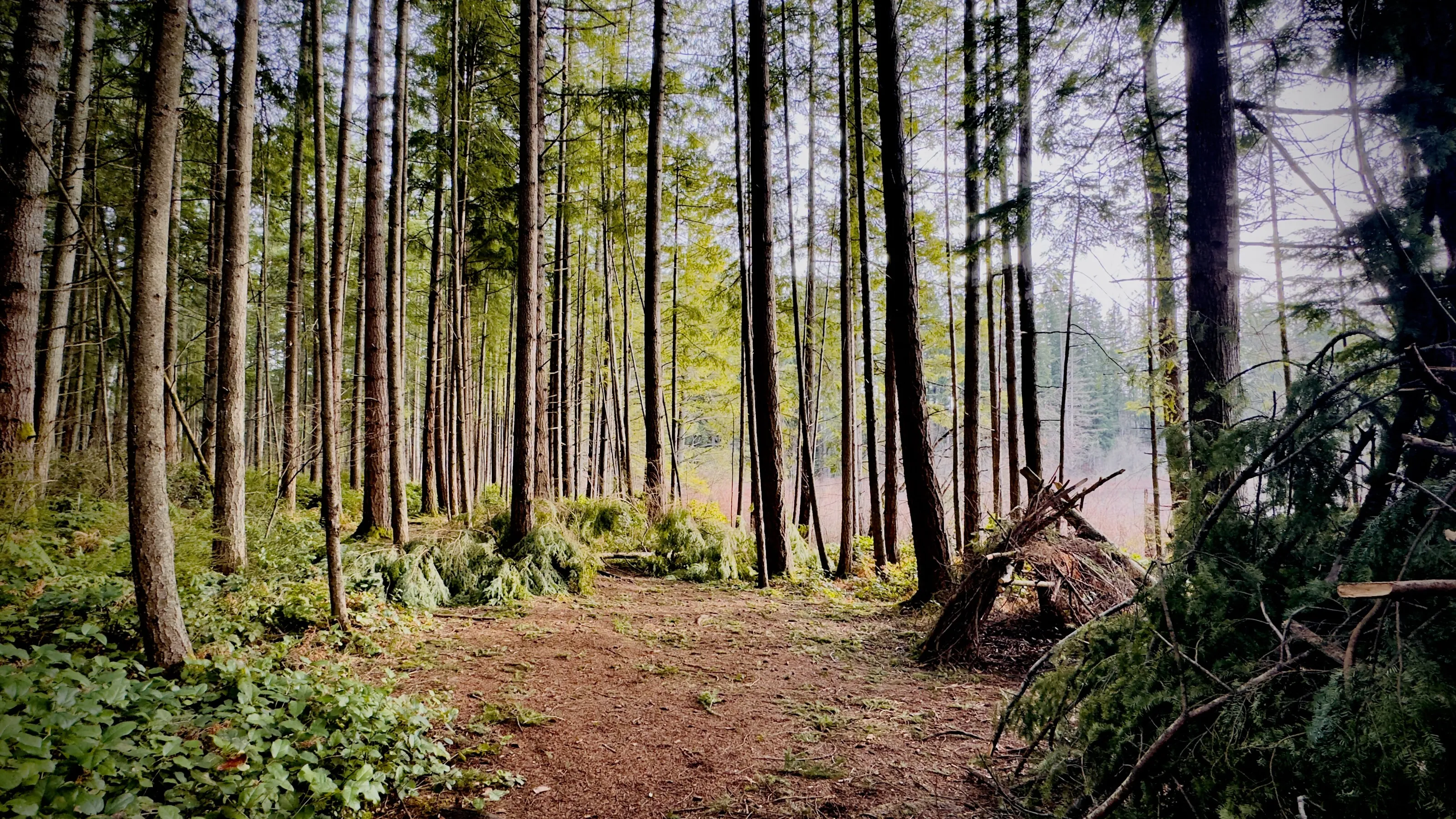 Shelter