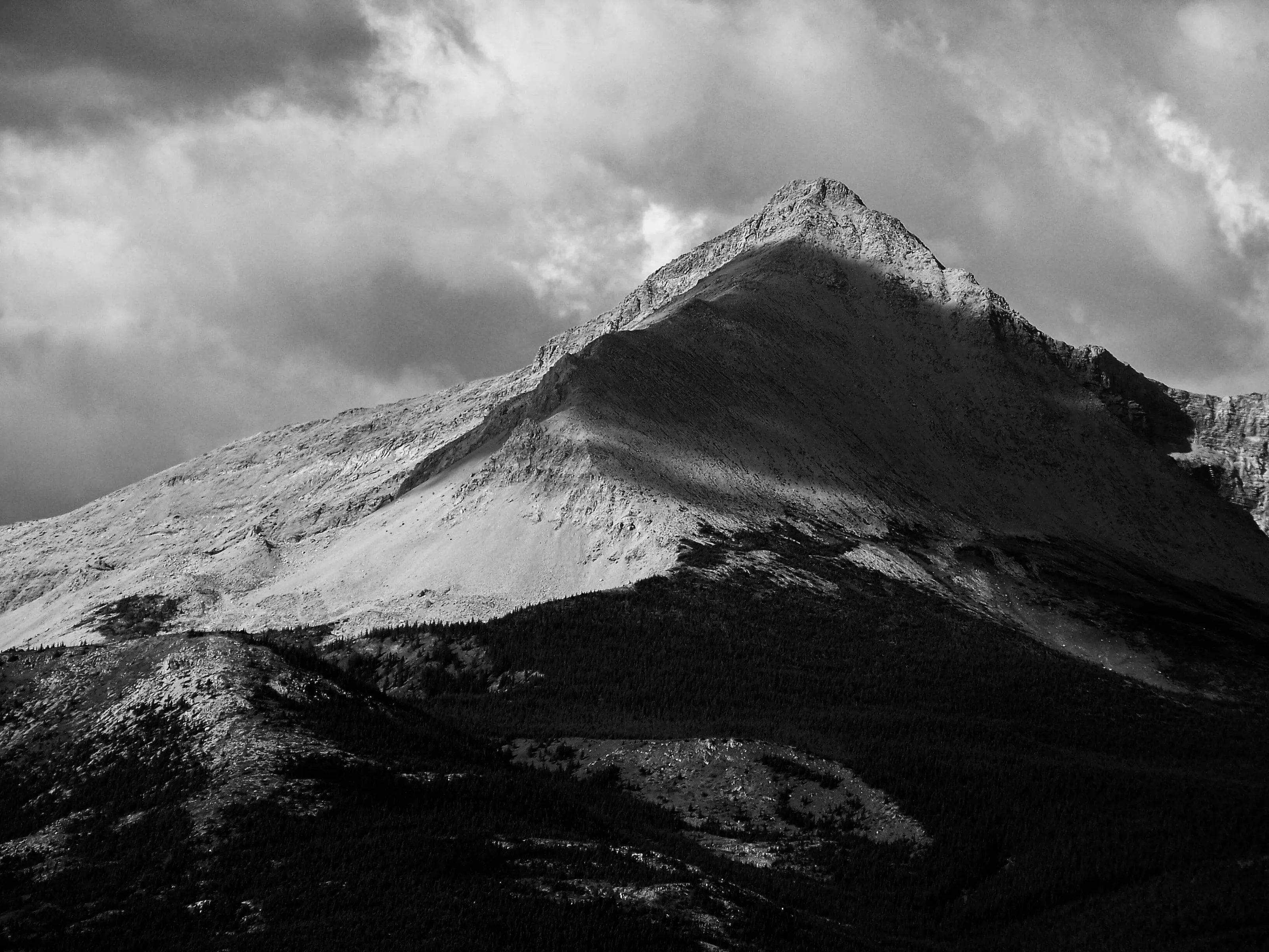 Landscape #5