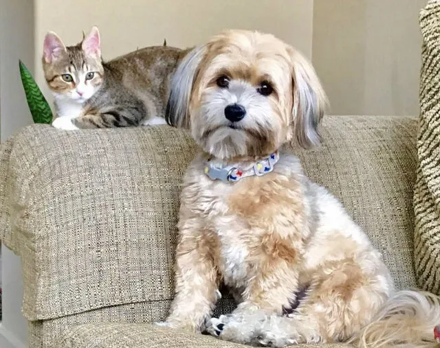 Best Friends