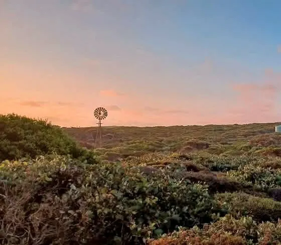 Sunset at Quagi