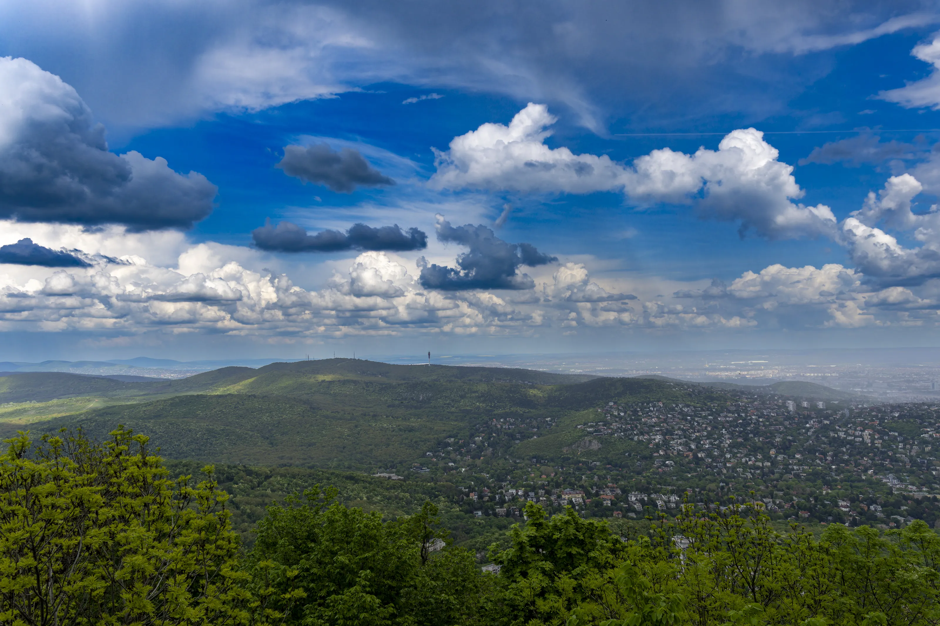 Landscape