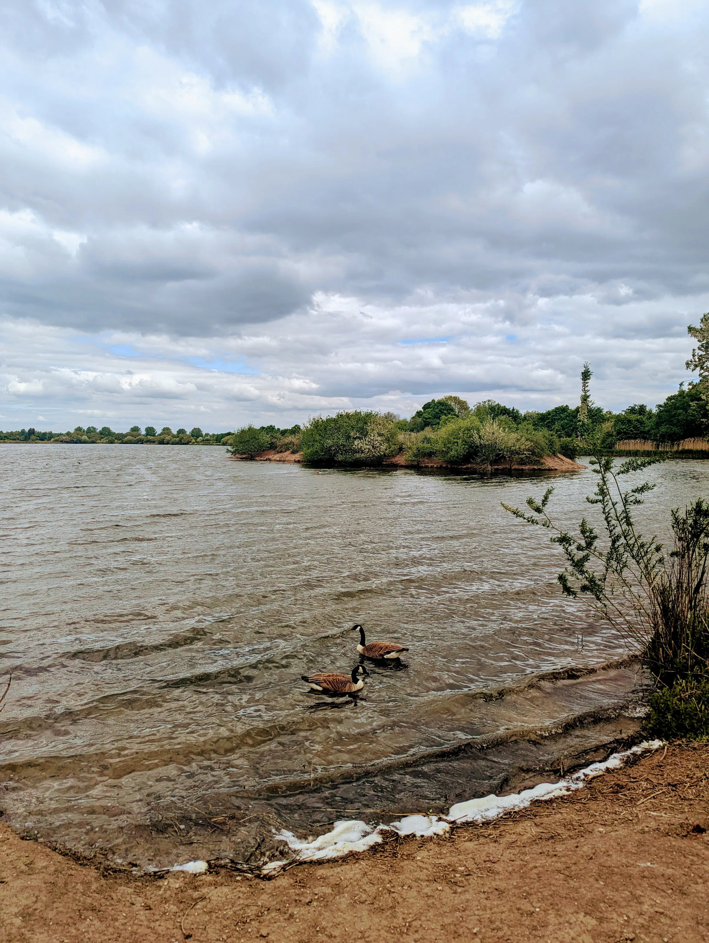 Lake series #1