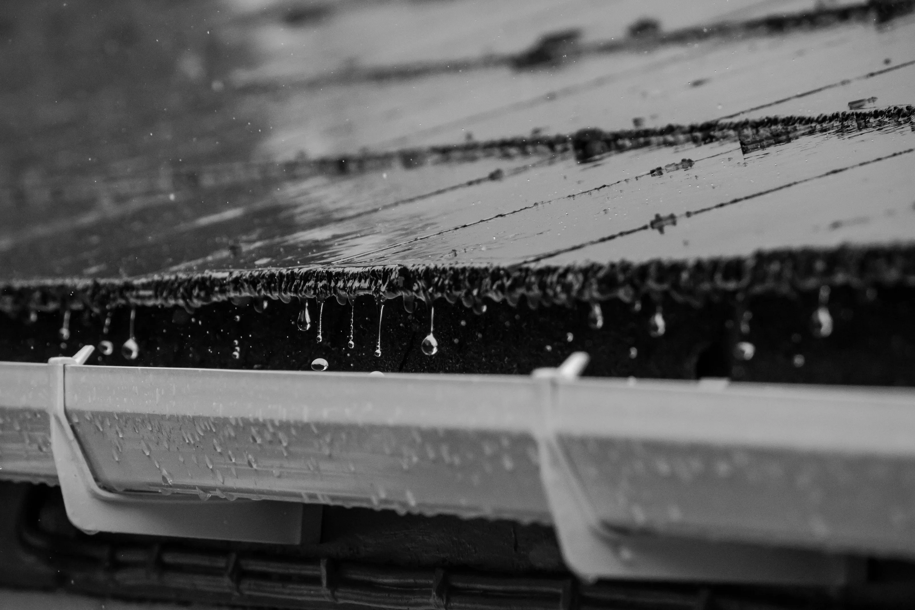 Silver downpour