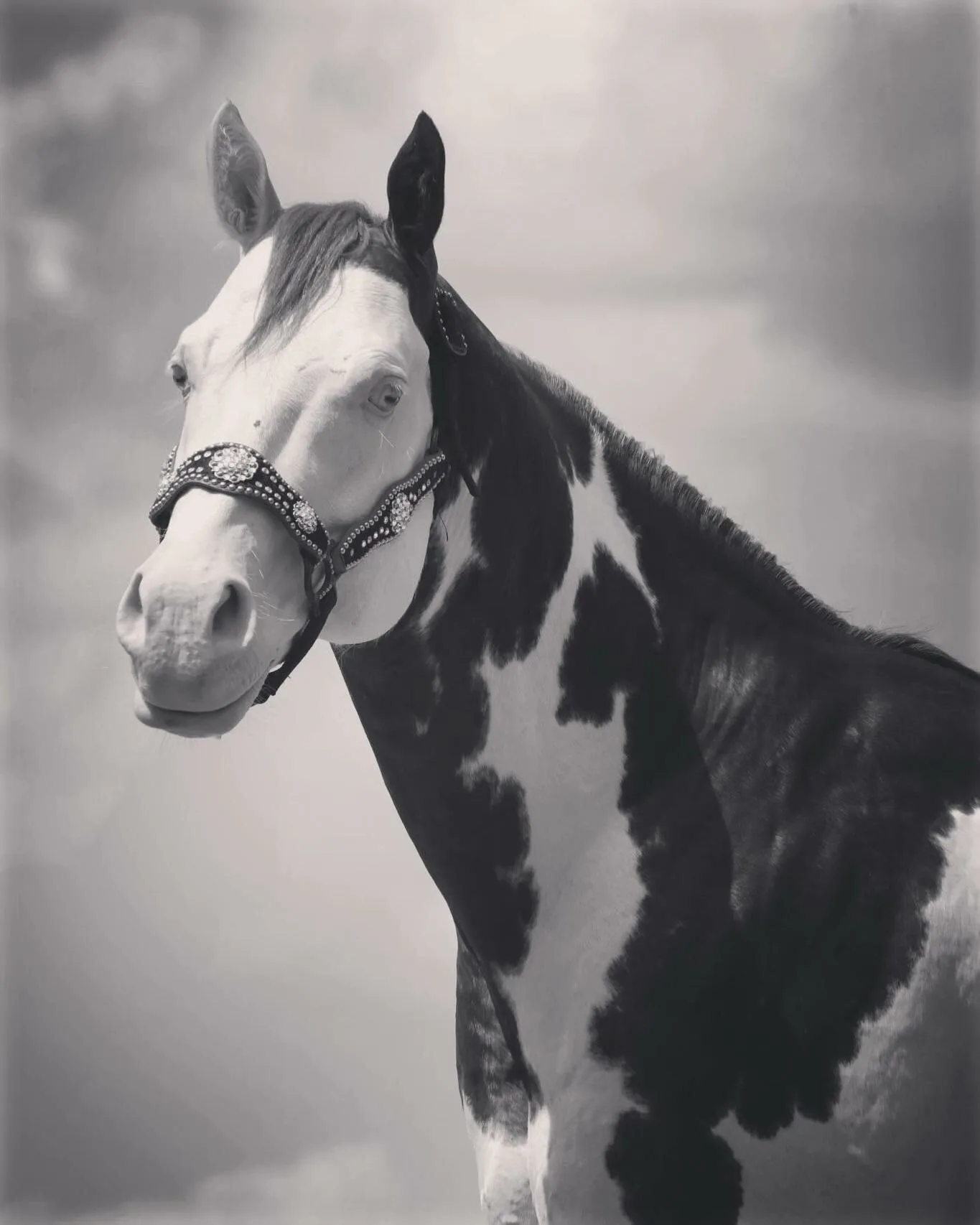 In Black and White